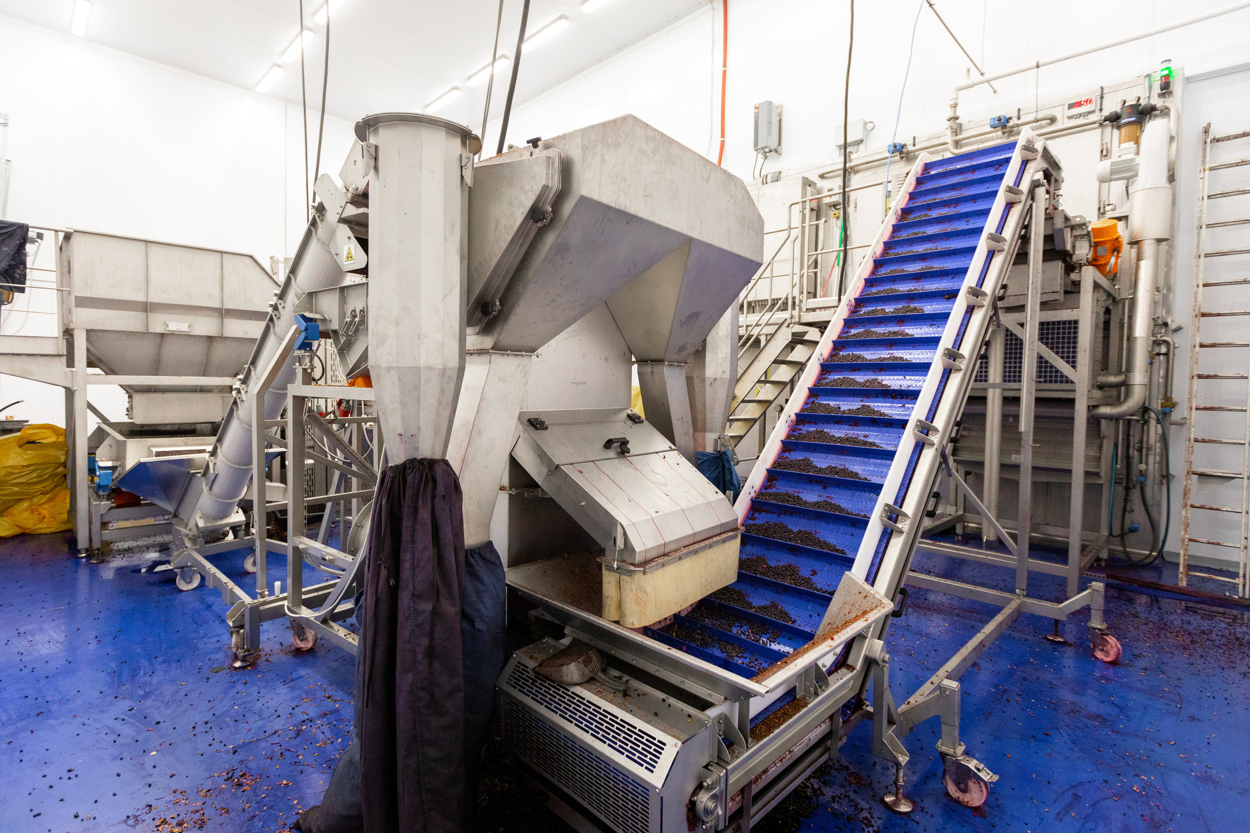 ЯГОДА. Фотограф в Петрозаводске Игорь Герасименко