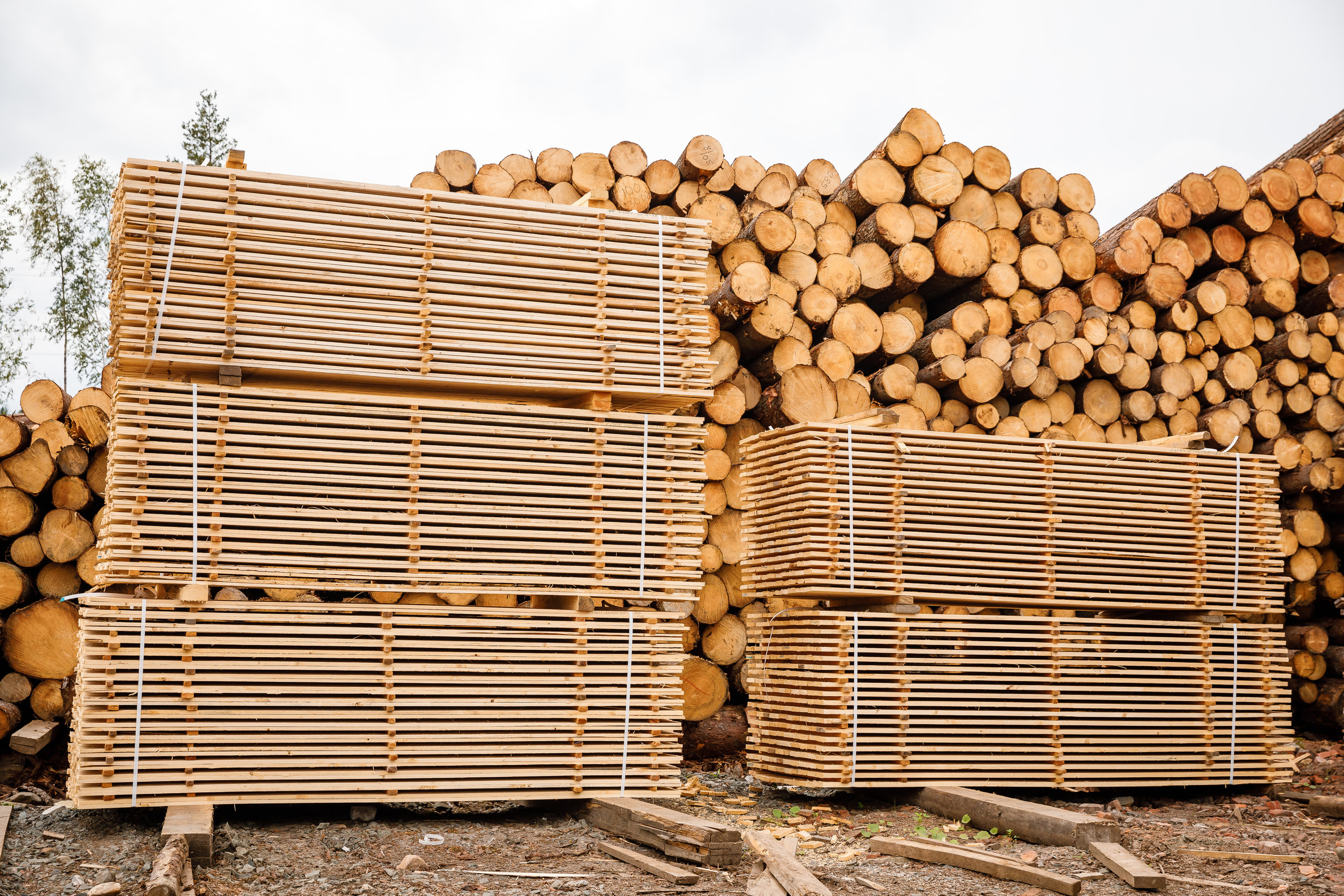 ПИЛОРАМА. Фотограф в Петрозаводске Игорь Герасименко