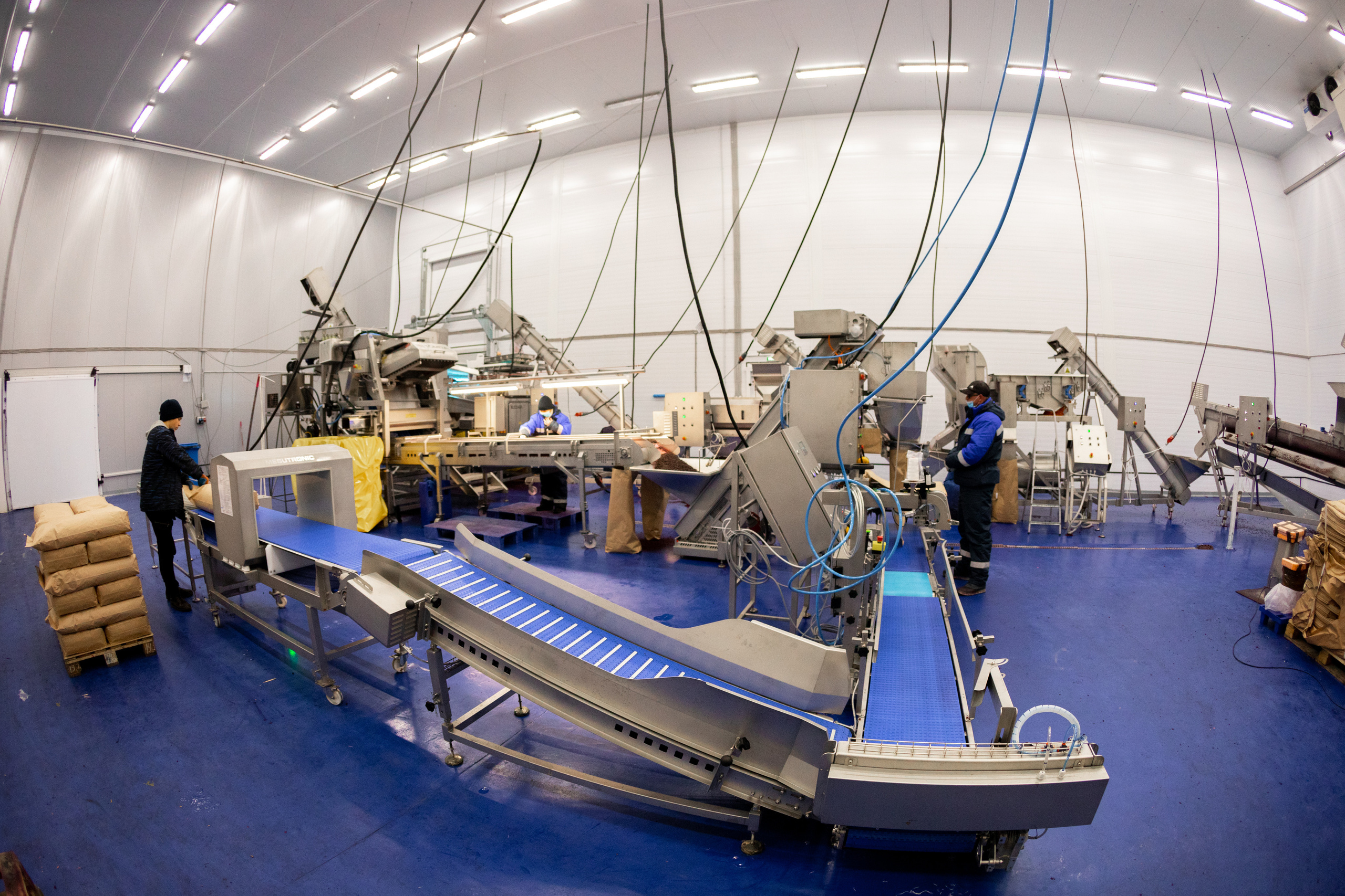 ЯГОДА. Фотограф в Петрозаводске Игорь Герасименко