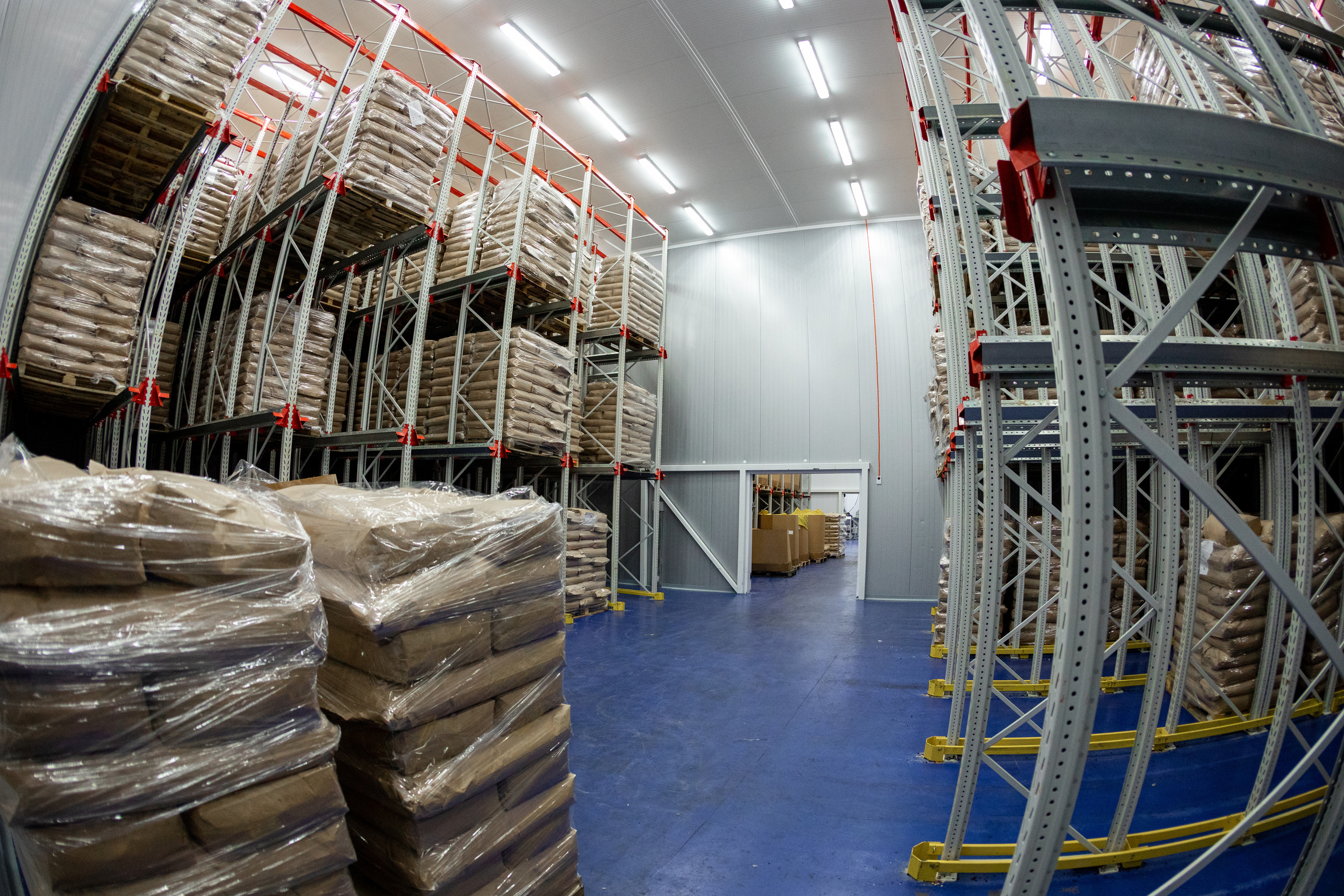 ЯГОДА. Фотограф в Петрозаводске Игорь Герасименко