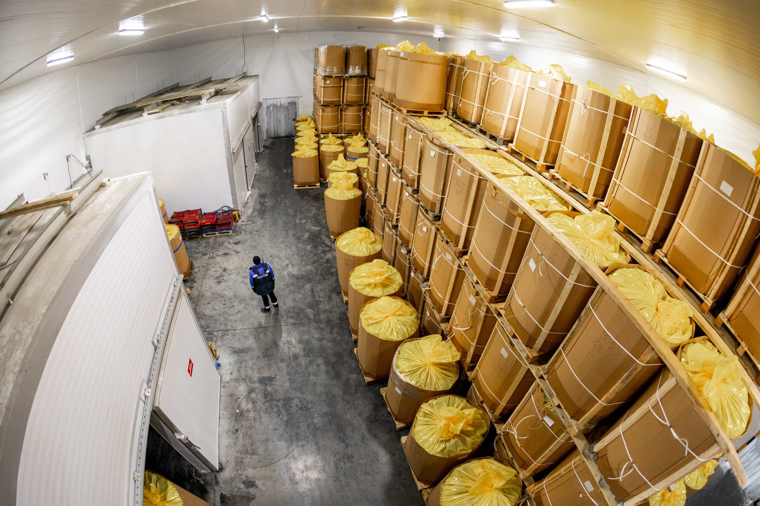 ЯГОДА. Фотограф в Петрозаводске Игорь Герасименко