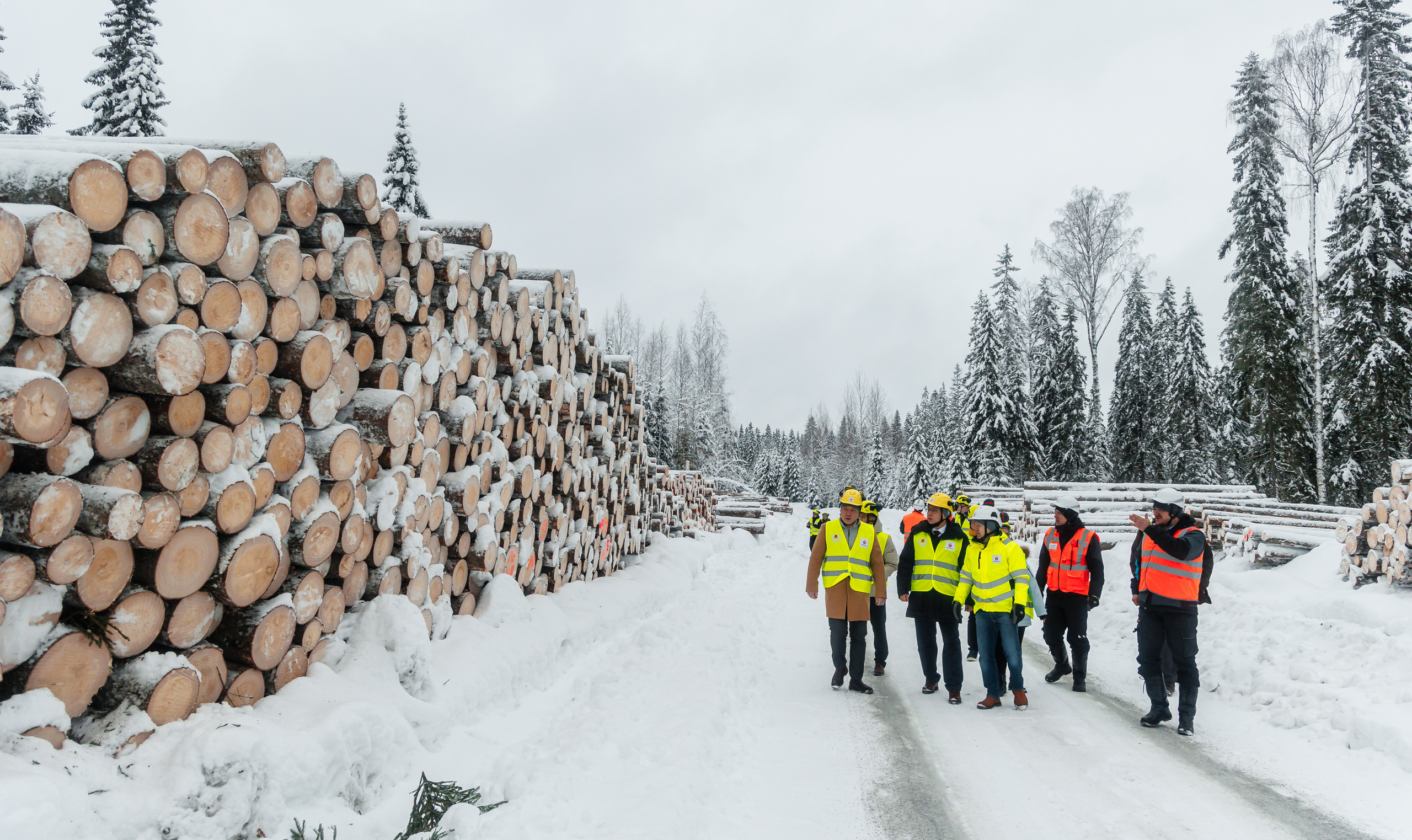 ЛЕСХОЗ. Фотограф в Петрозаводске Игорь Герасименко