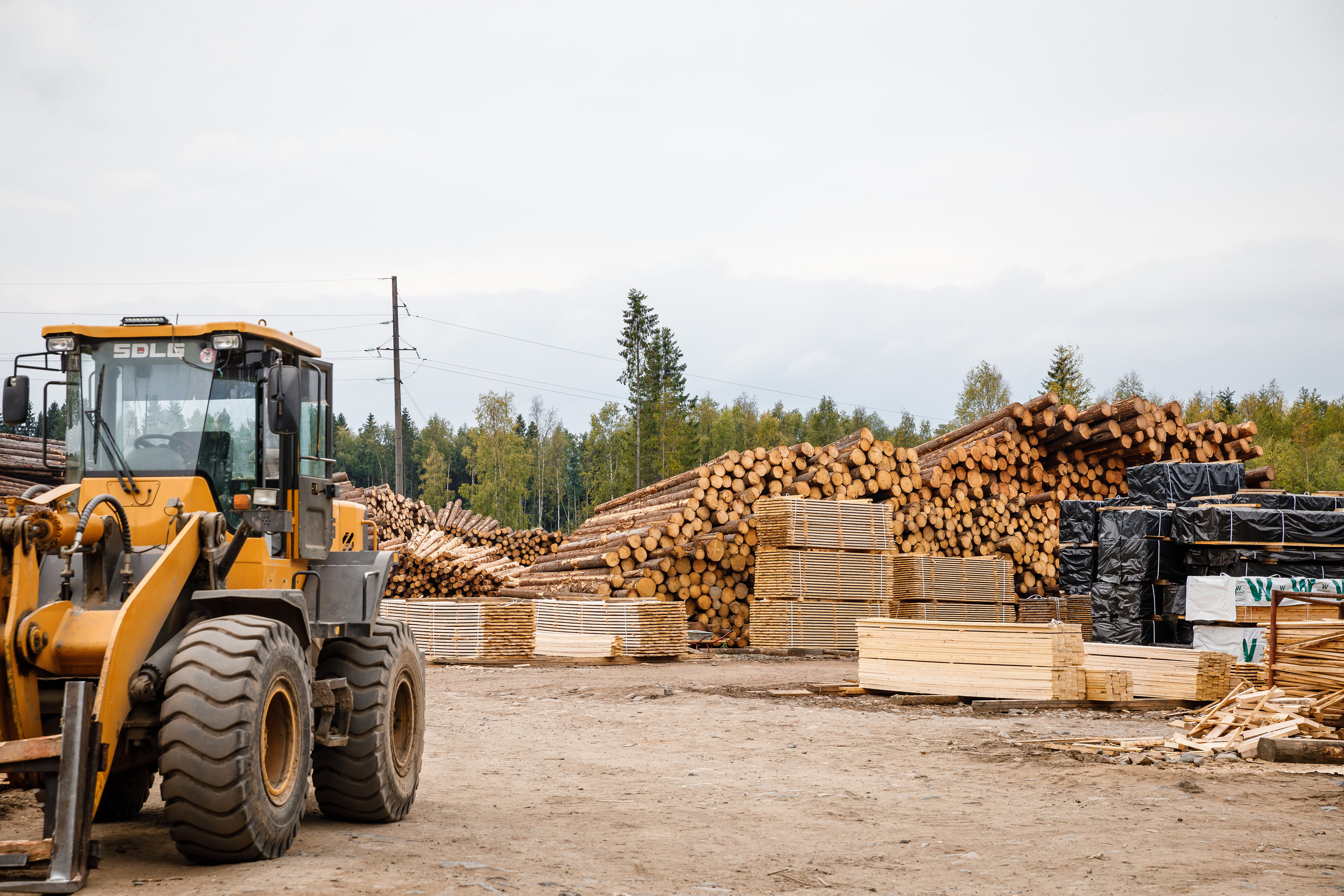 ПИЛОРАМА. Фотограф в Петрозаводске Игорь Герасименко