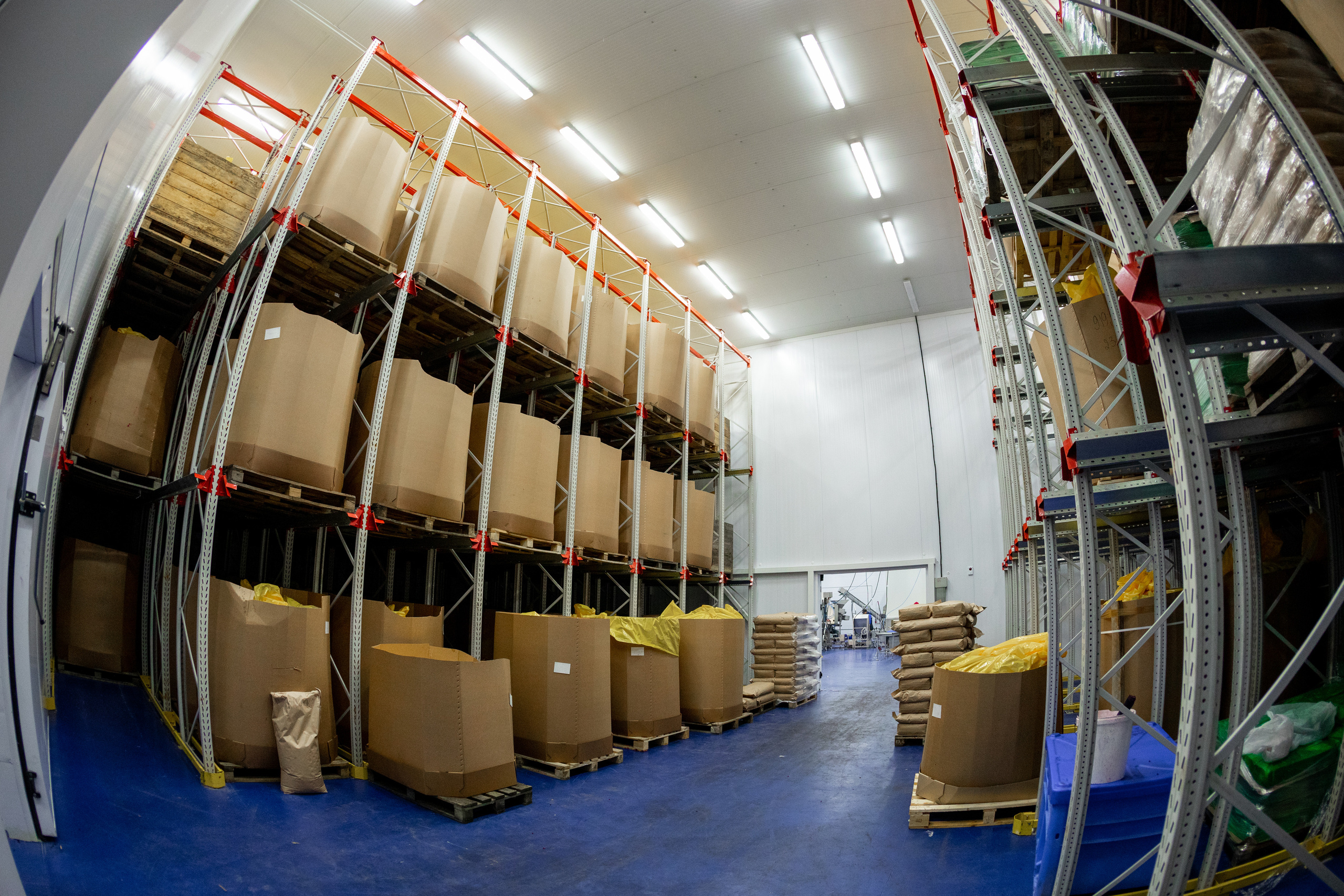 ЯГОДА. Фотограф в Петрозаводске Игорь Герасименко