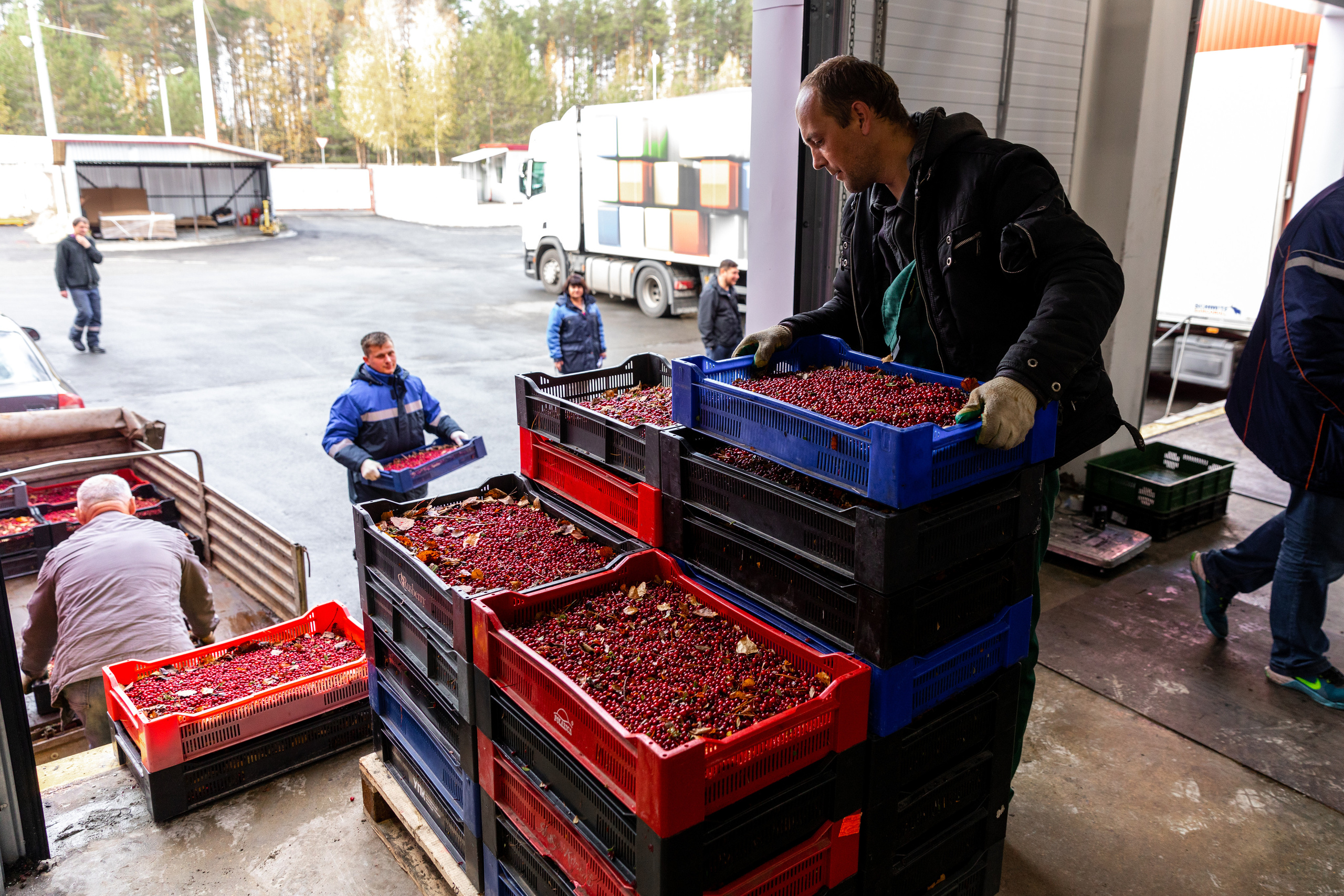 ЯГОДА. Фотограф в Петрозаводске Игорь Герасименко