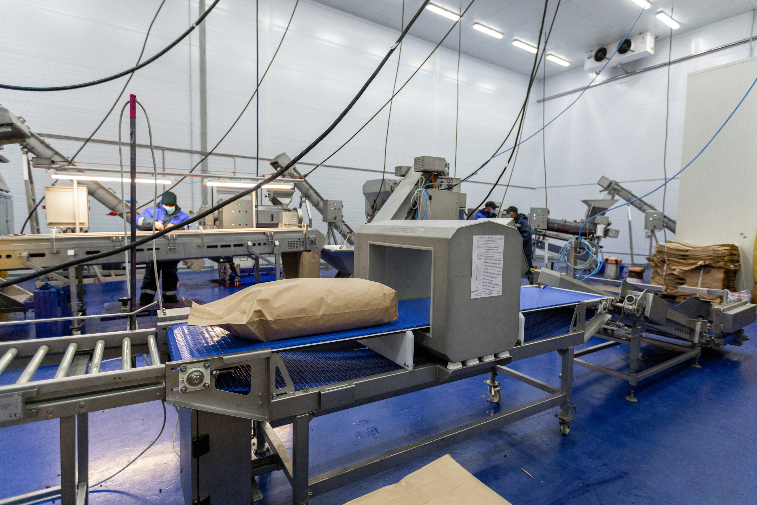 ЯГОДА. Фотограф в Петрозаводске Игорь Герасименко