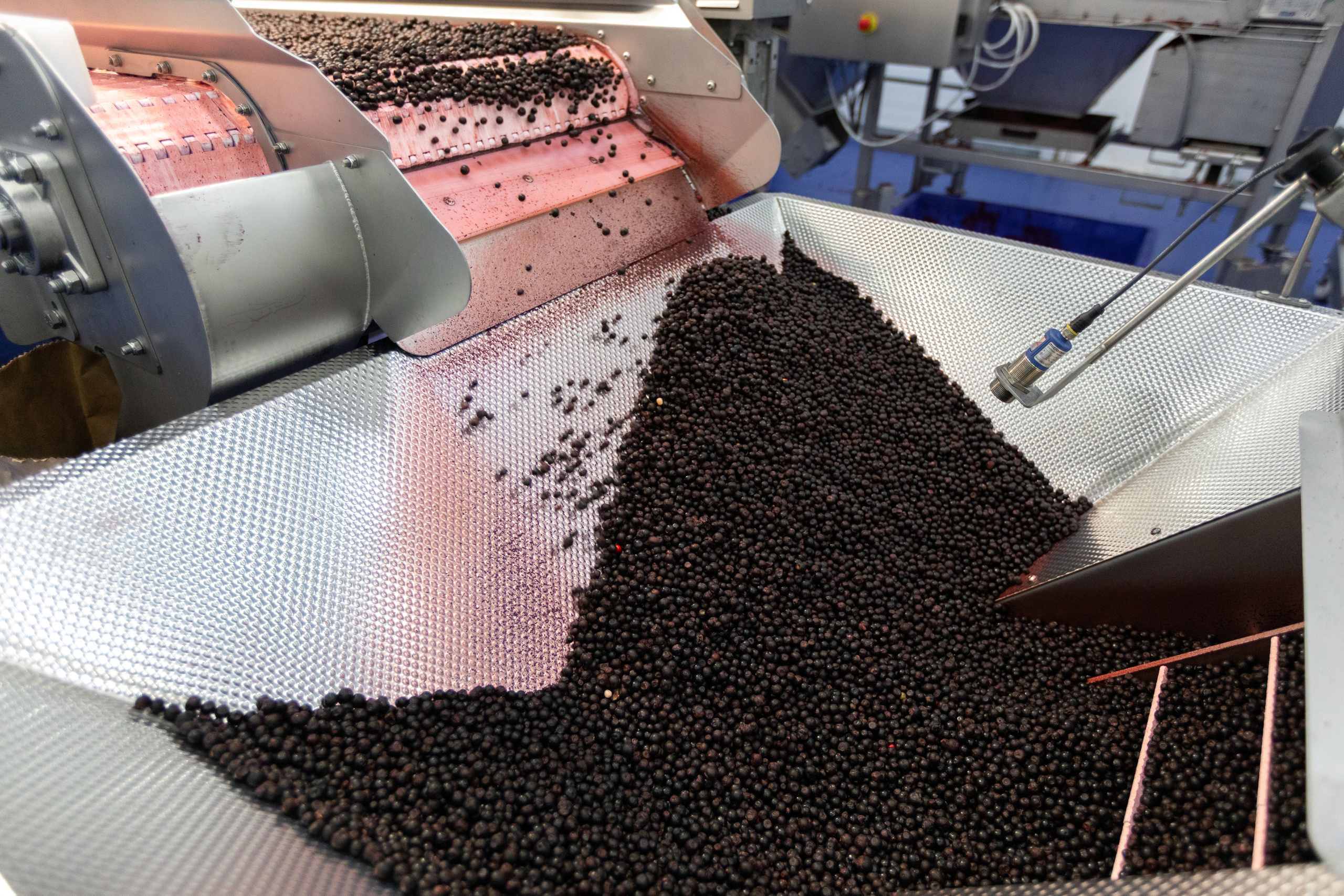 ЯГОДА. Фотограф в Петрозаводске Игорь Герасименко