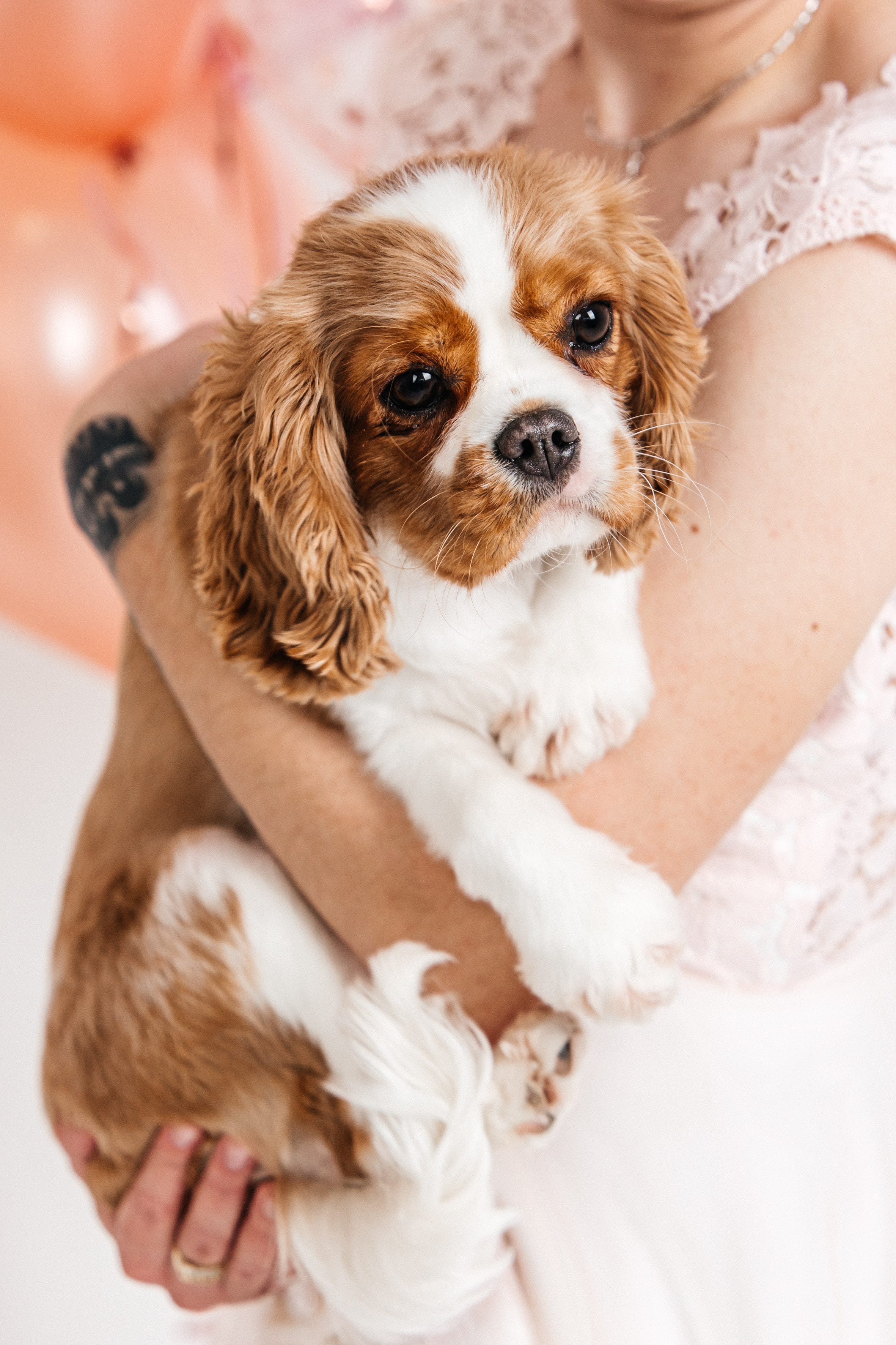 Кармель. Фотограф в Петрозаводске Игорь Герасименко