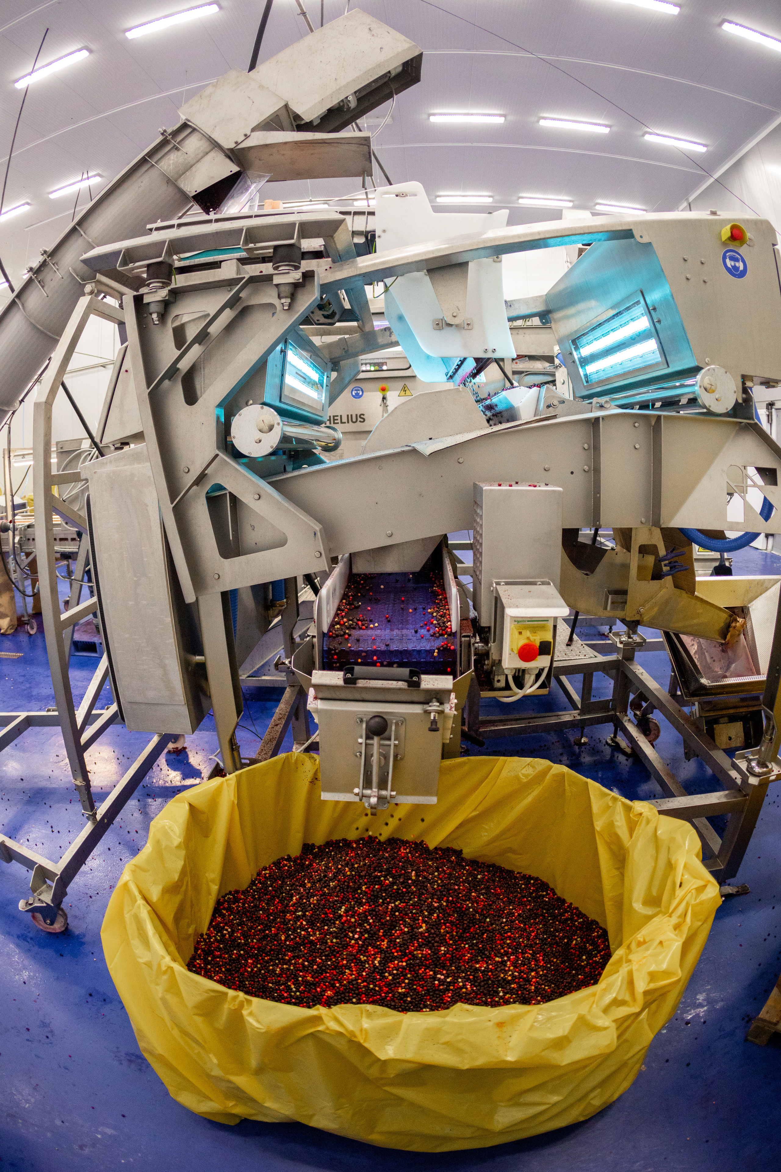 ЯГОДА. Фотограф в Петрозаводске Игорь Герасименко