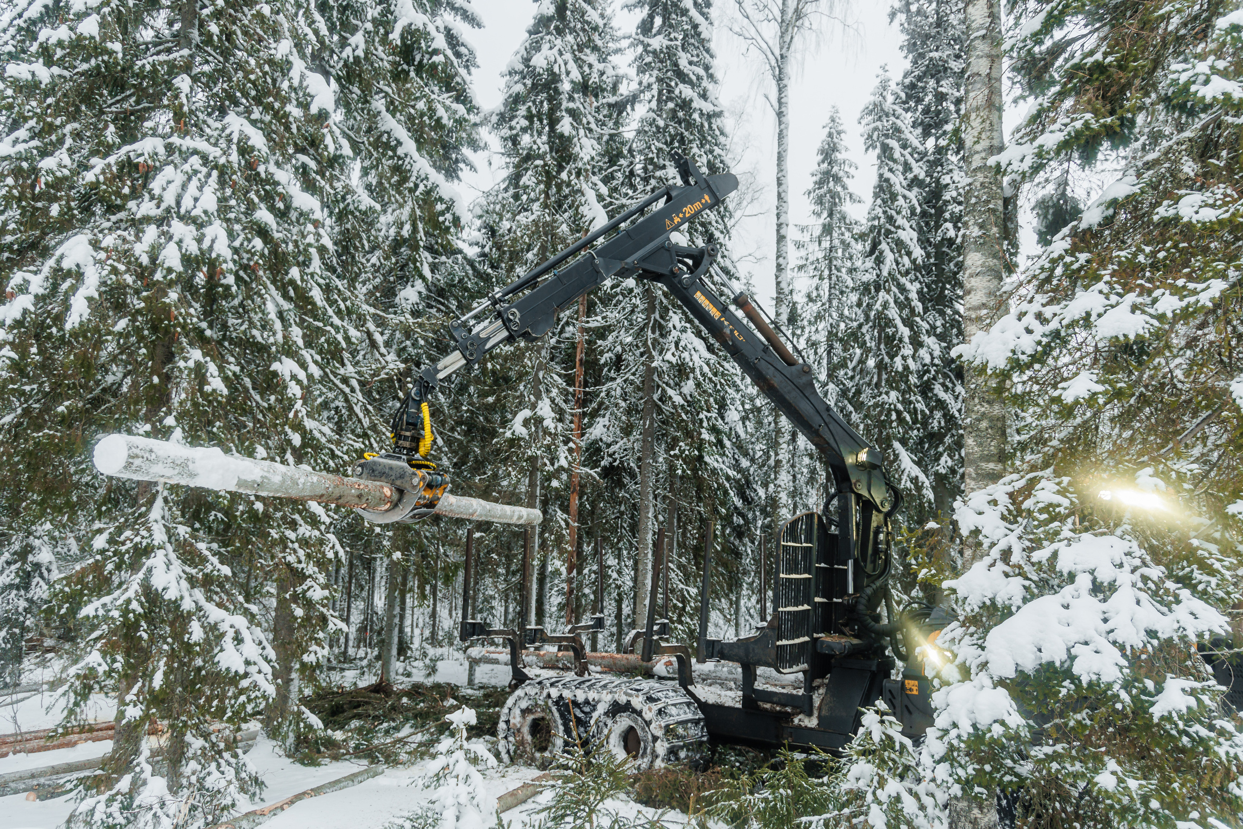 ЛЕСХОЗ. Фотограф в Петрозаводске Игорь Герасименко