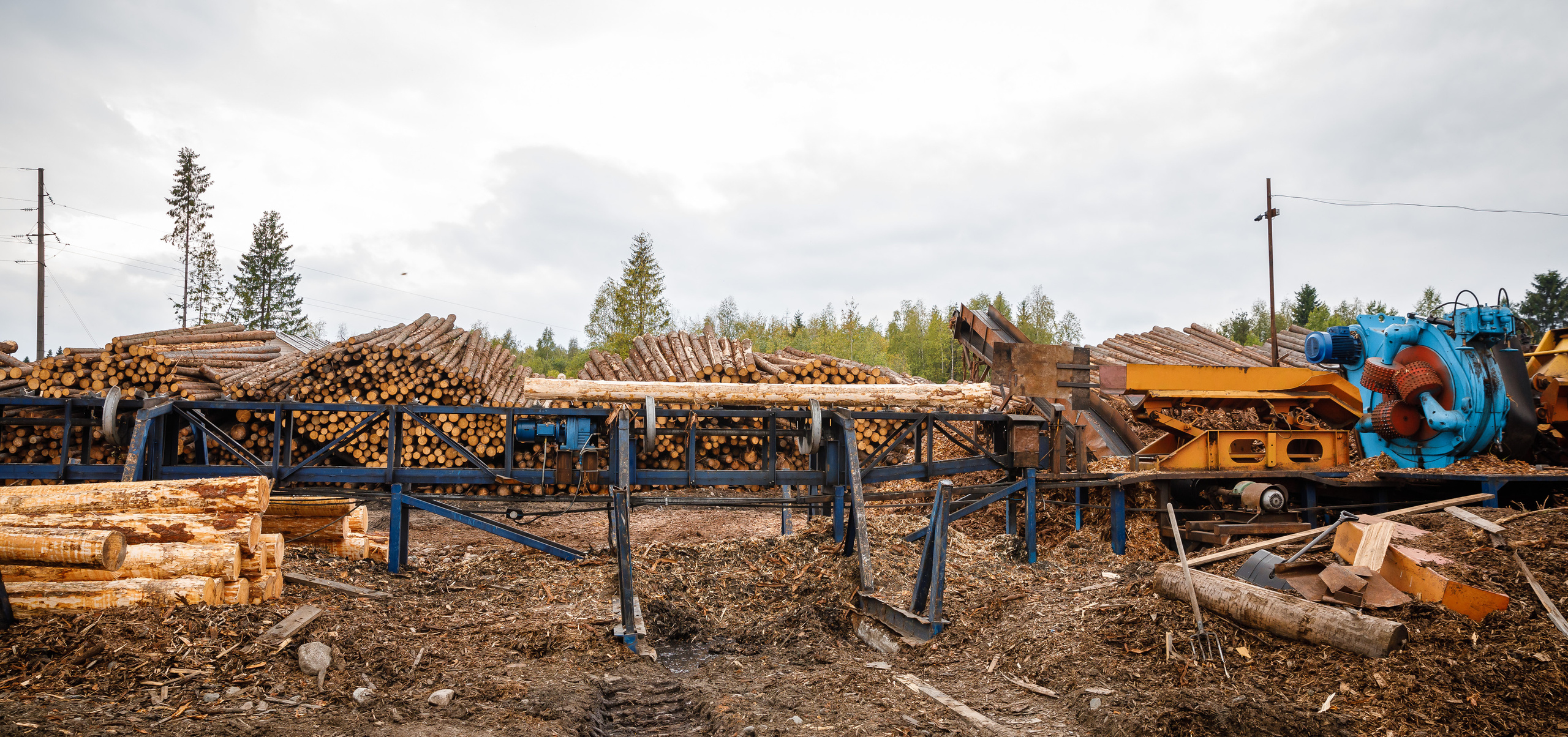 ПИЛОРАМА. Фотограф в Петрозаводске Игорь Герасименко