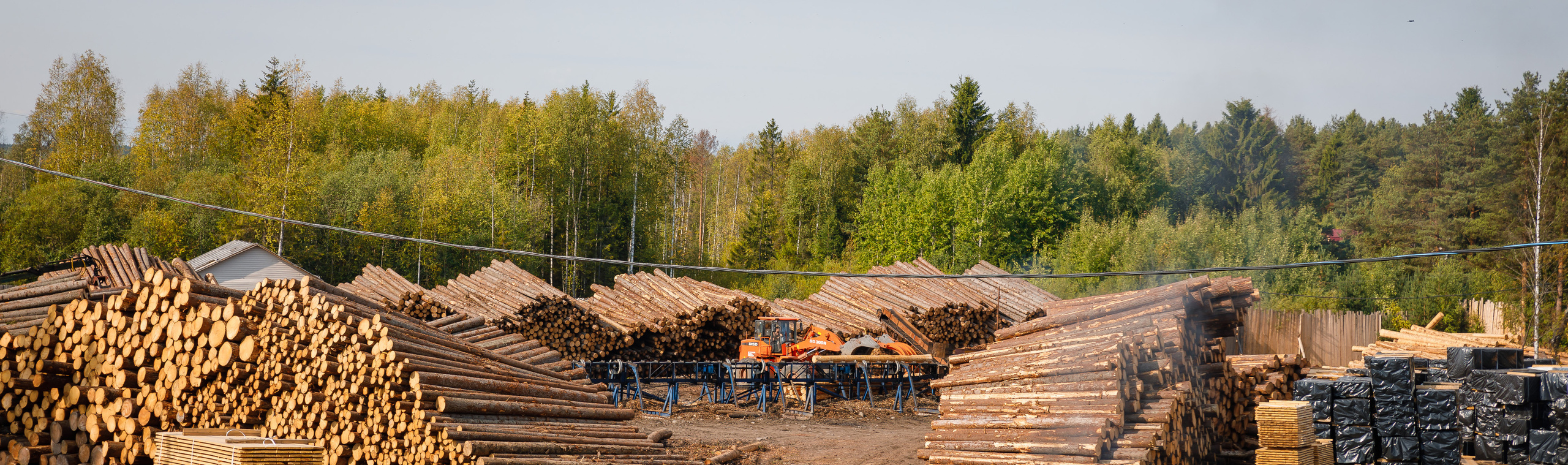 ПИЛОРАМА. Фотограф в Петрозаводске Игорь Герасименко