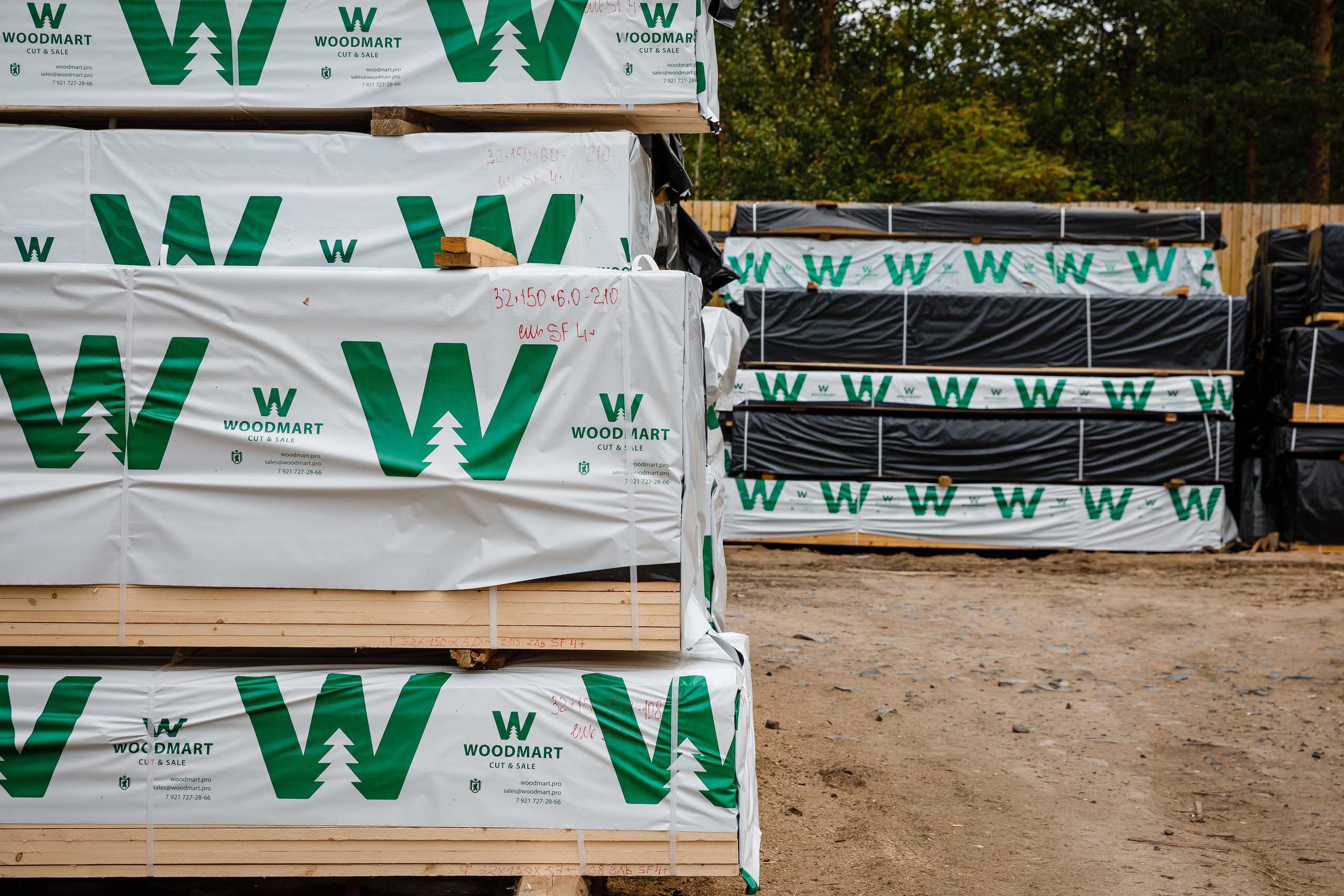 ПИЛОРАМА. Фотограф в Петрозаводске Игорь Герасименко