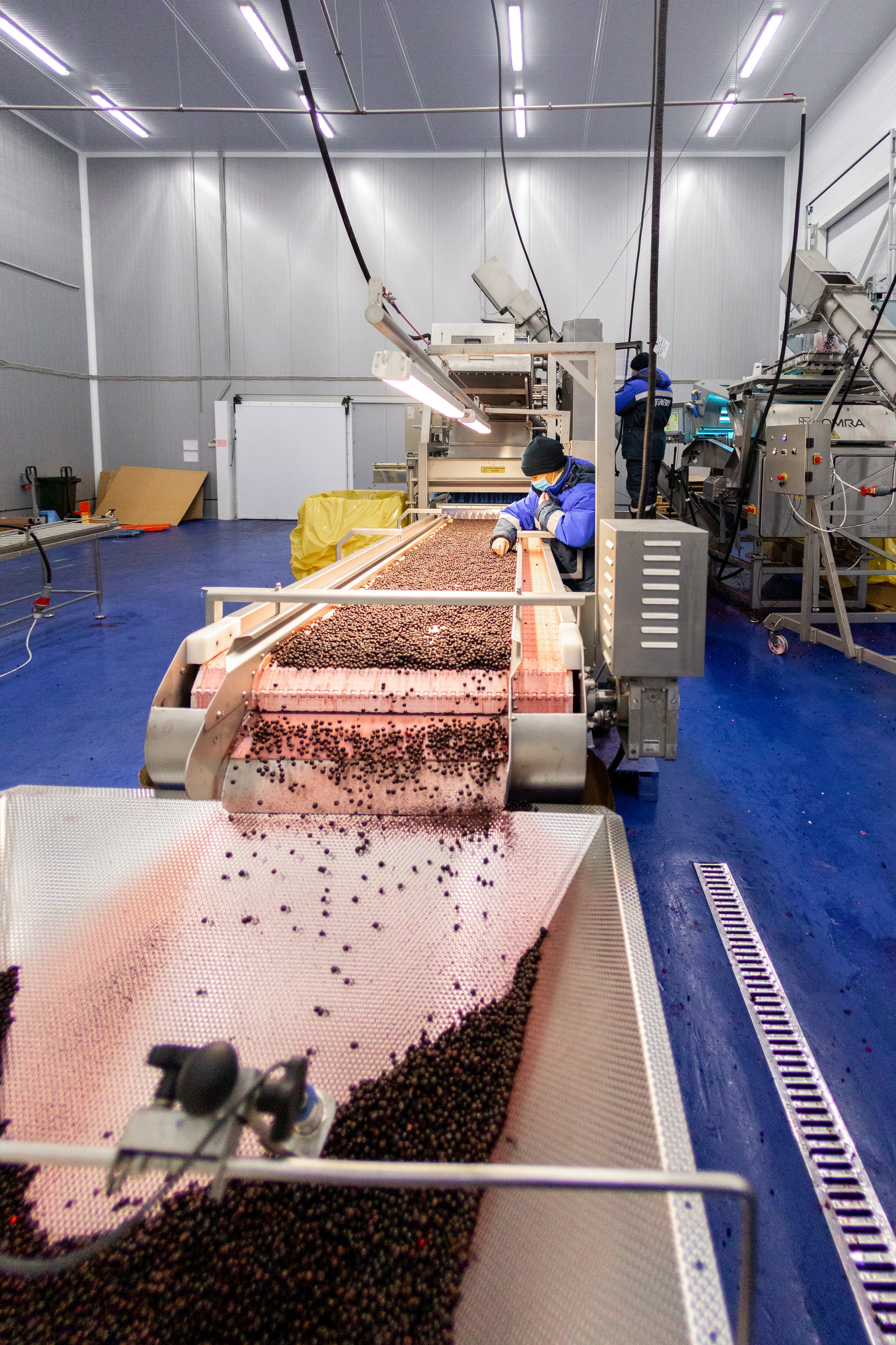 ЯГОДА. Фотограф в Петрозаводске Игорь Герасименко