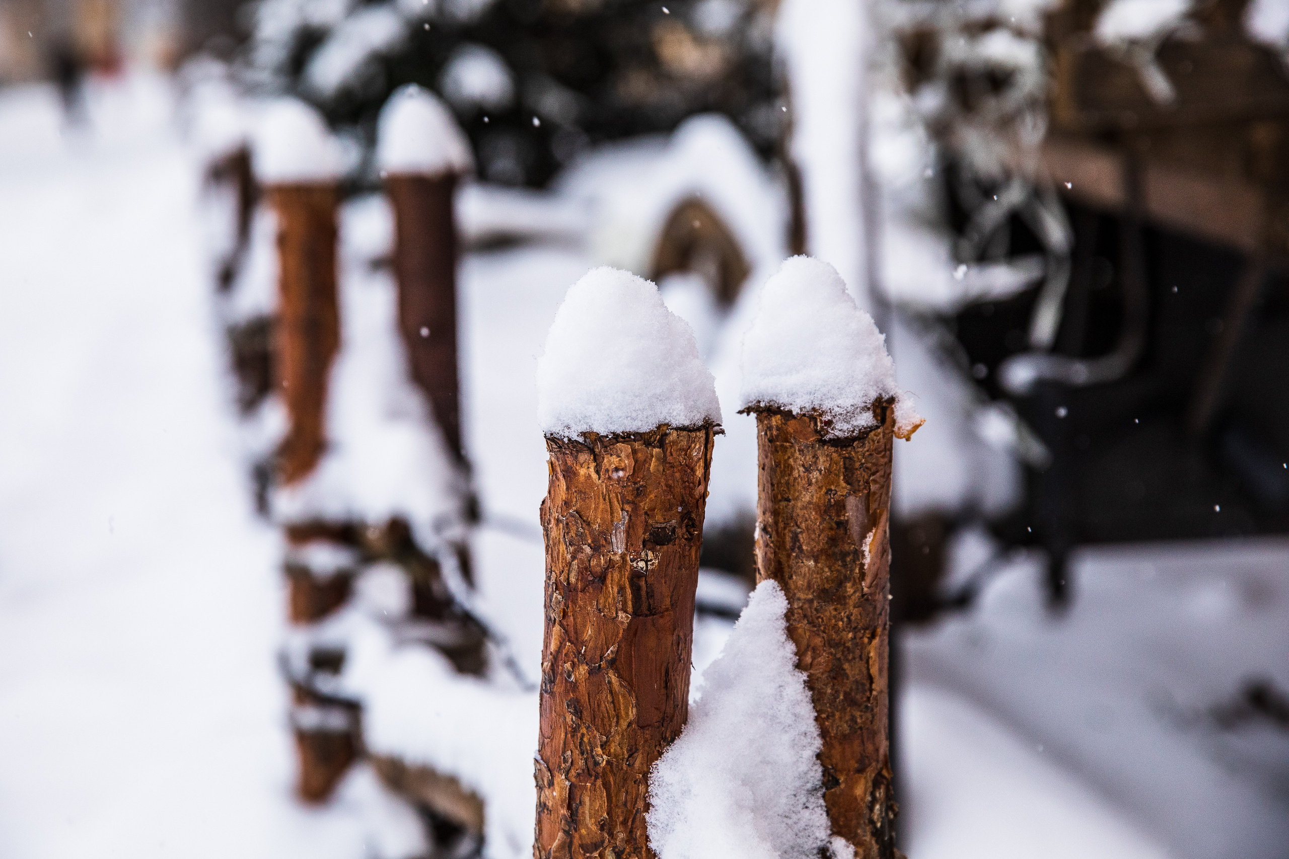 Карельская Горница. Фотограф в Петрозаводске Игорь Герасименко