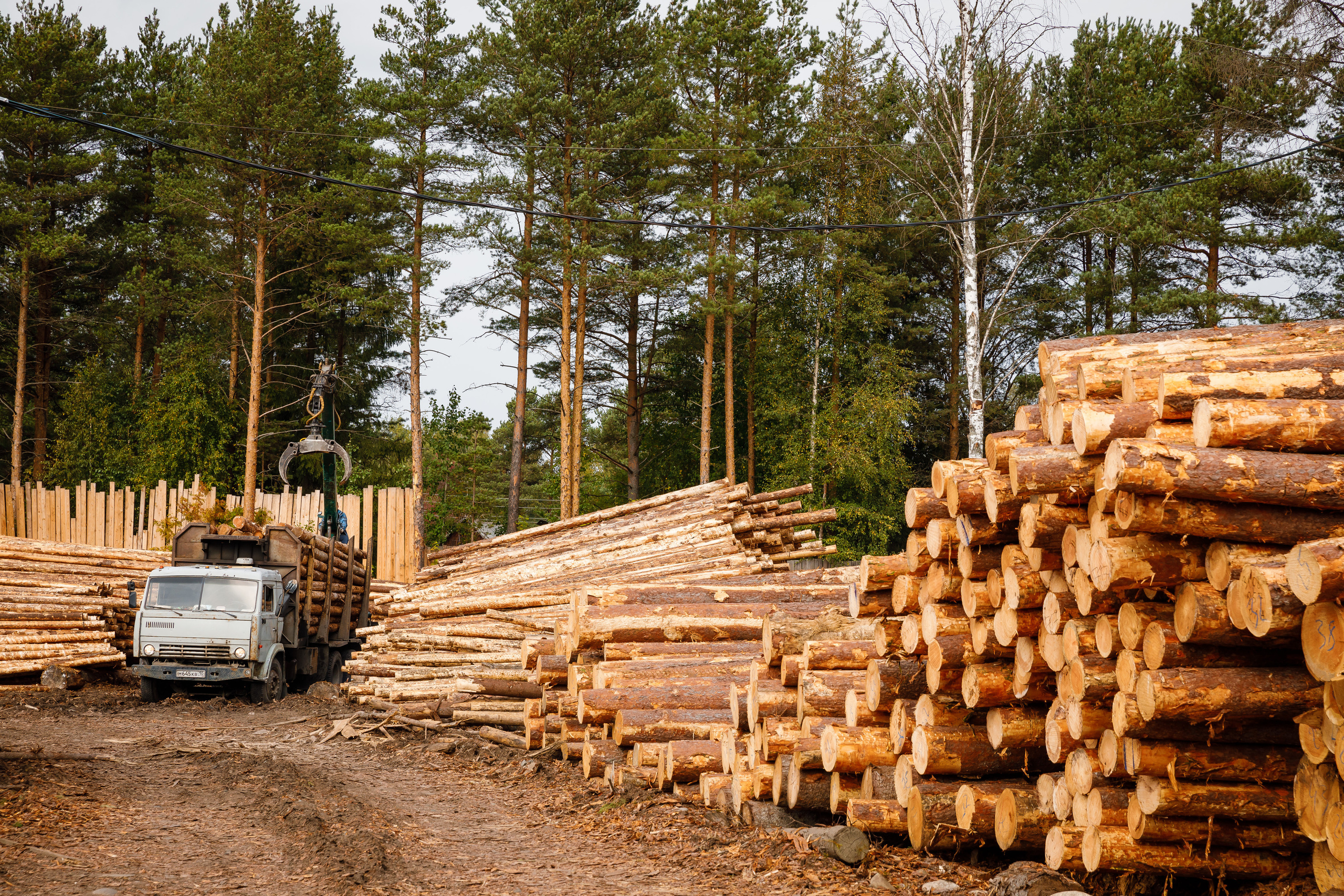ПИЛОРАМА. Фотограф в Петрозаводске Игорь Герасименко