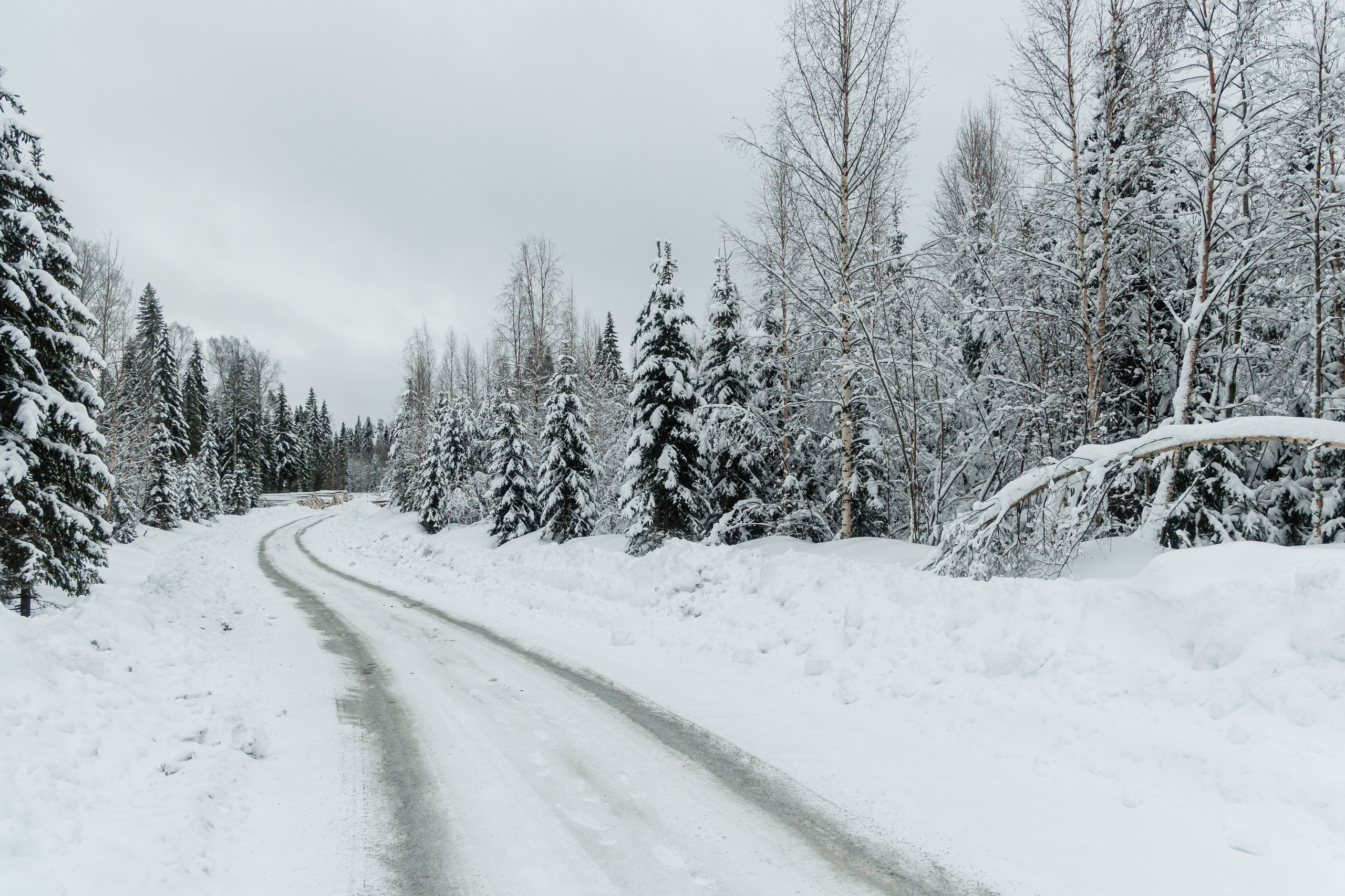 ЛЕСХОЗ. Фотограф в Петрозаводске Игорь Герасименко