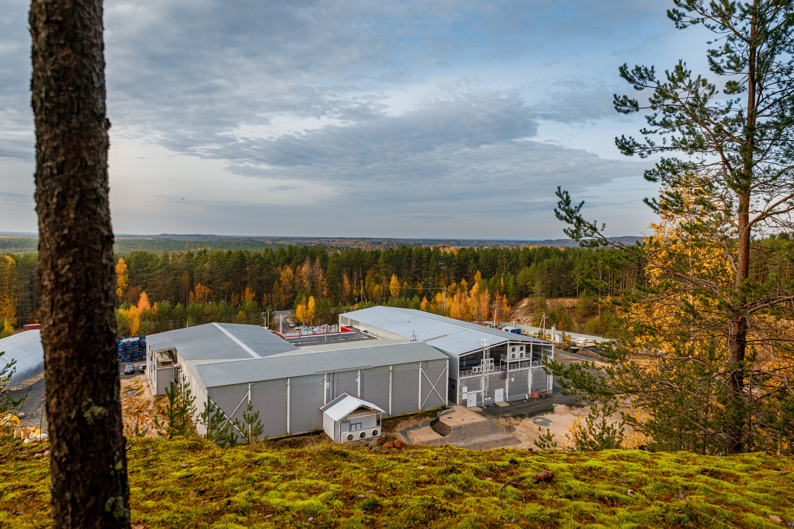 ЯГОДА. Фотограф в Петрозаводске Игорь Герасименко