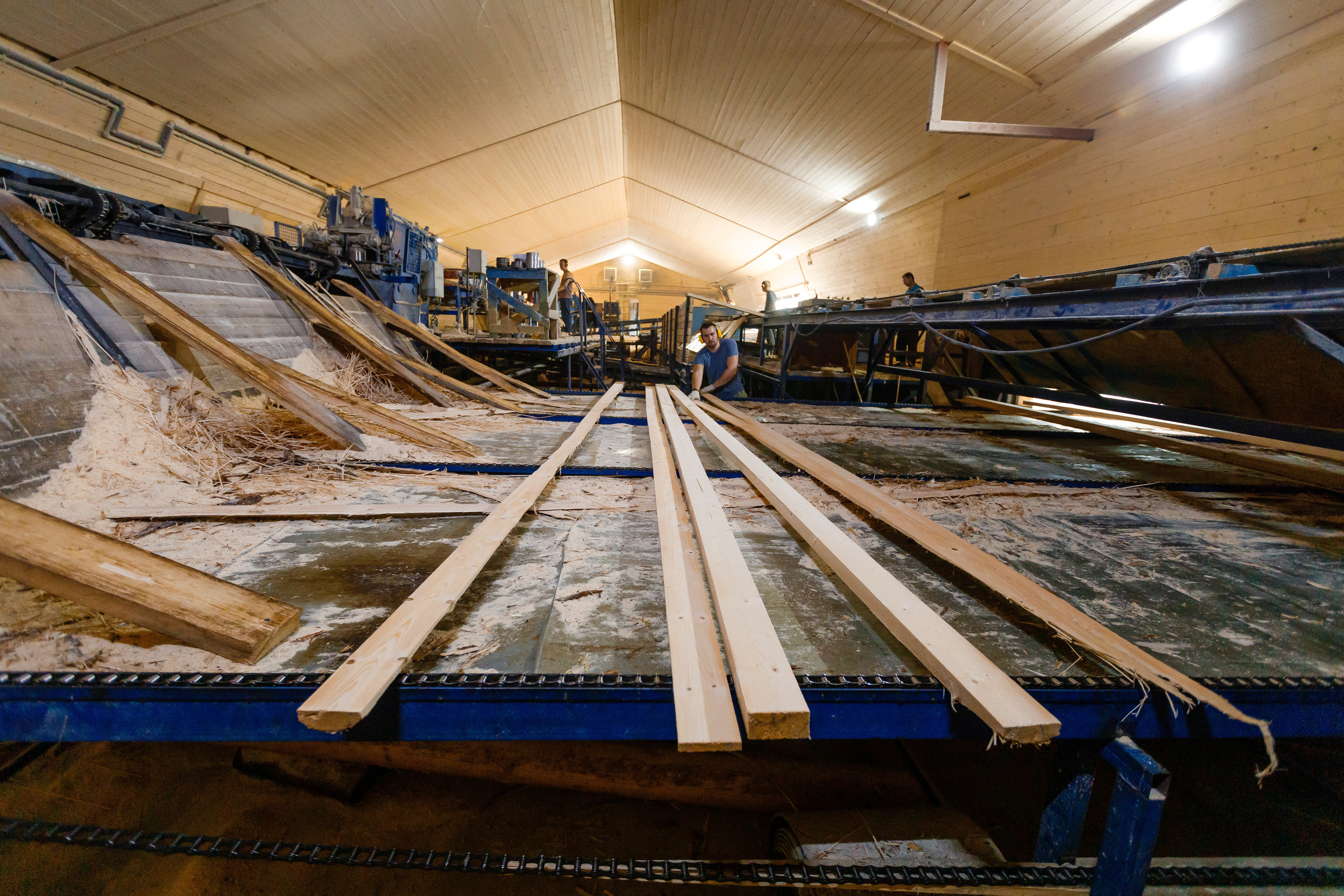 ПИЛОРАМА. Фотограф в Петрозаводске Игорь Герасименко