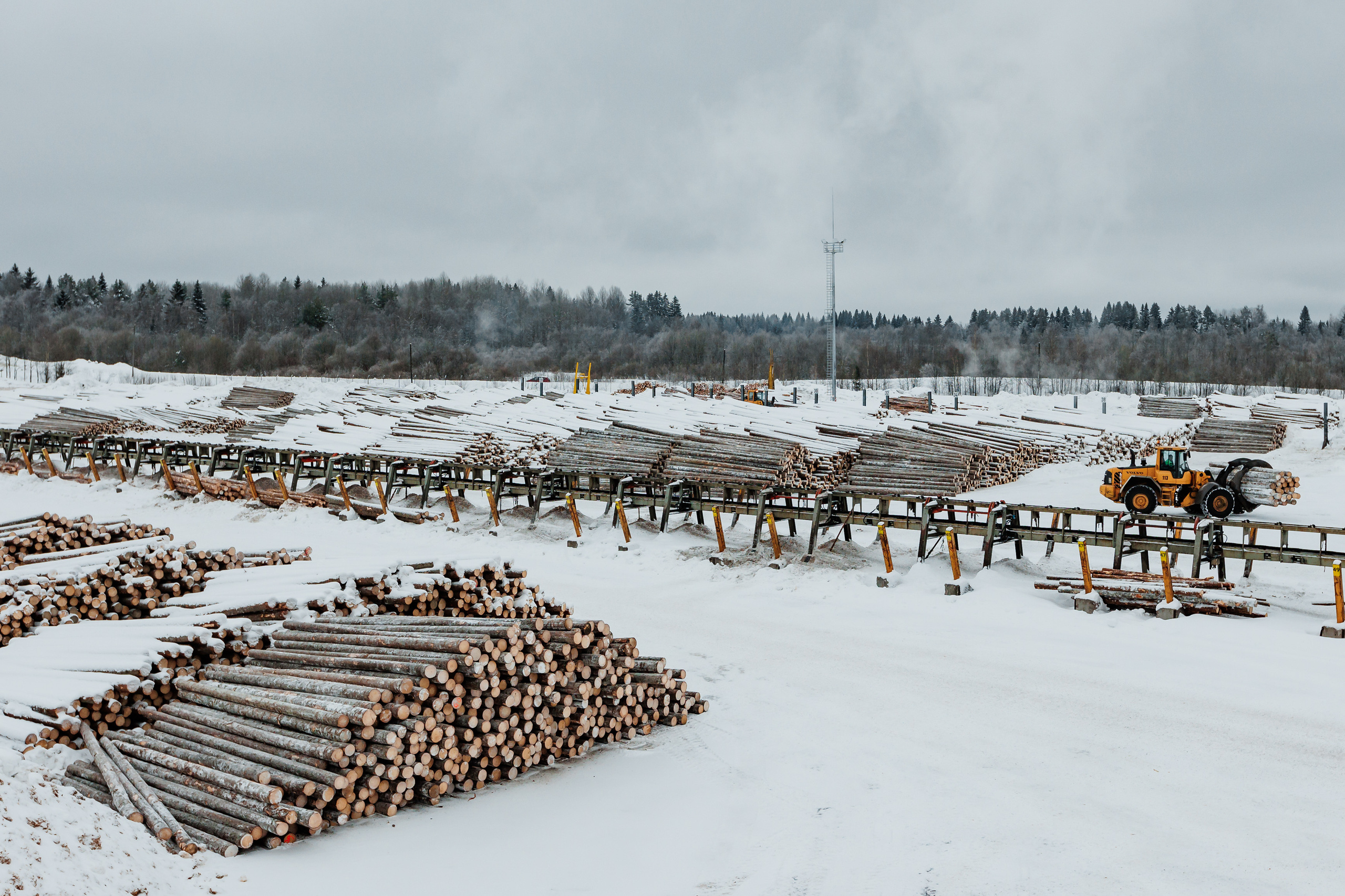 ЛЕСХОЗ. Фотограф в Петрозаводске Игорь Герасименко