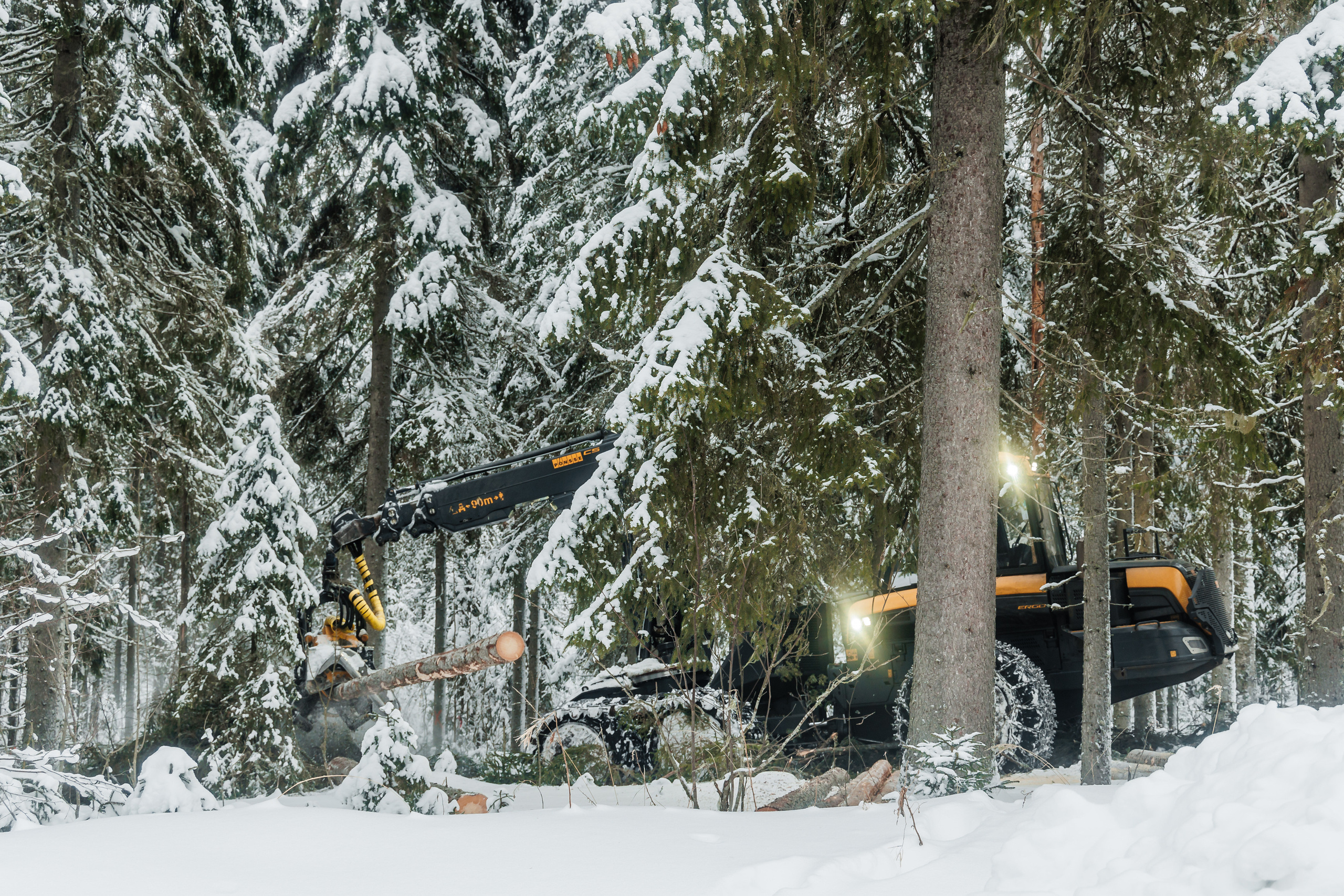 ЛЕСХОЗ. Фотограф в Петрозаводске Игорь Герасименко