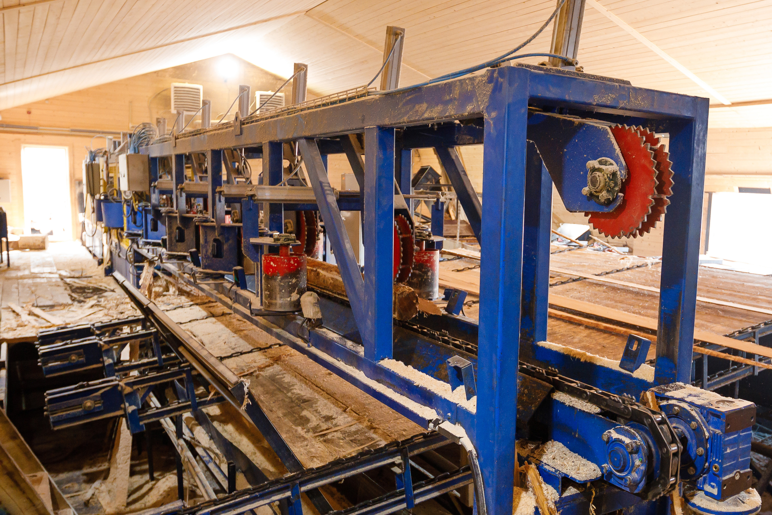 ПИЛОРАМА. Фотограф в Петрозаводске Игорь Герасименко