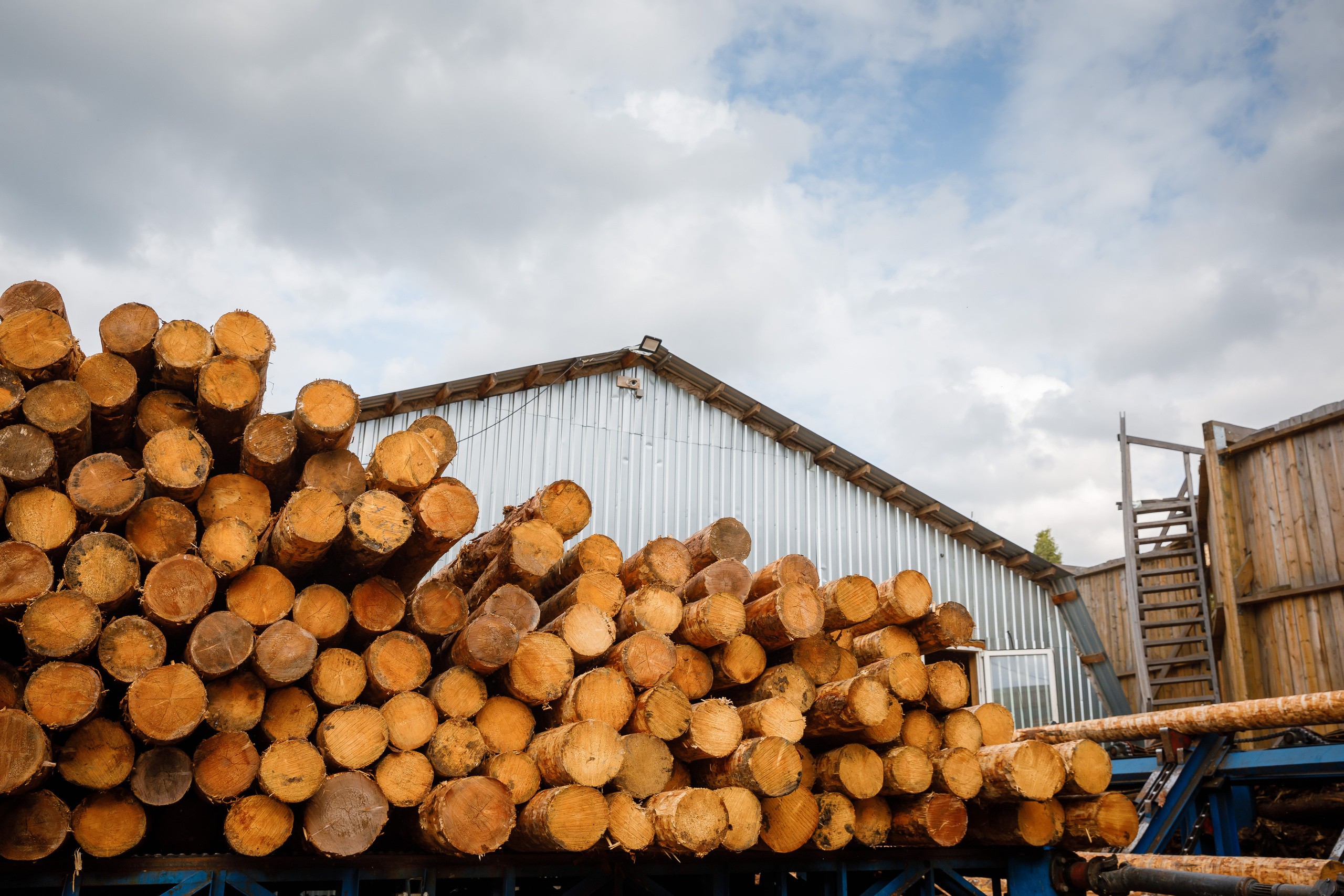 ПИЛОРАМА. Фотограф в Петрозаводске Игорь Герасименко