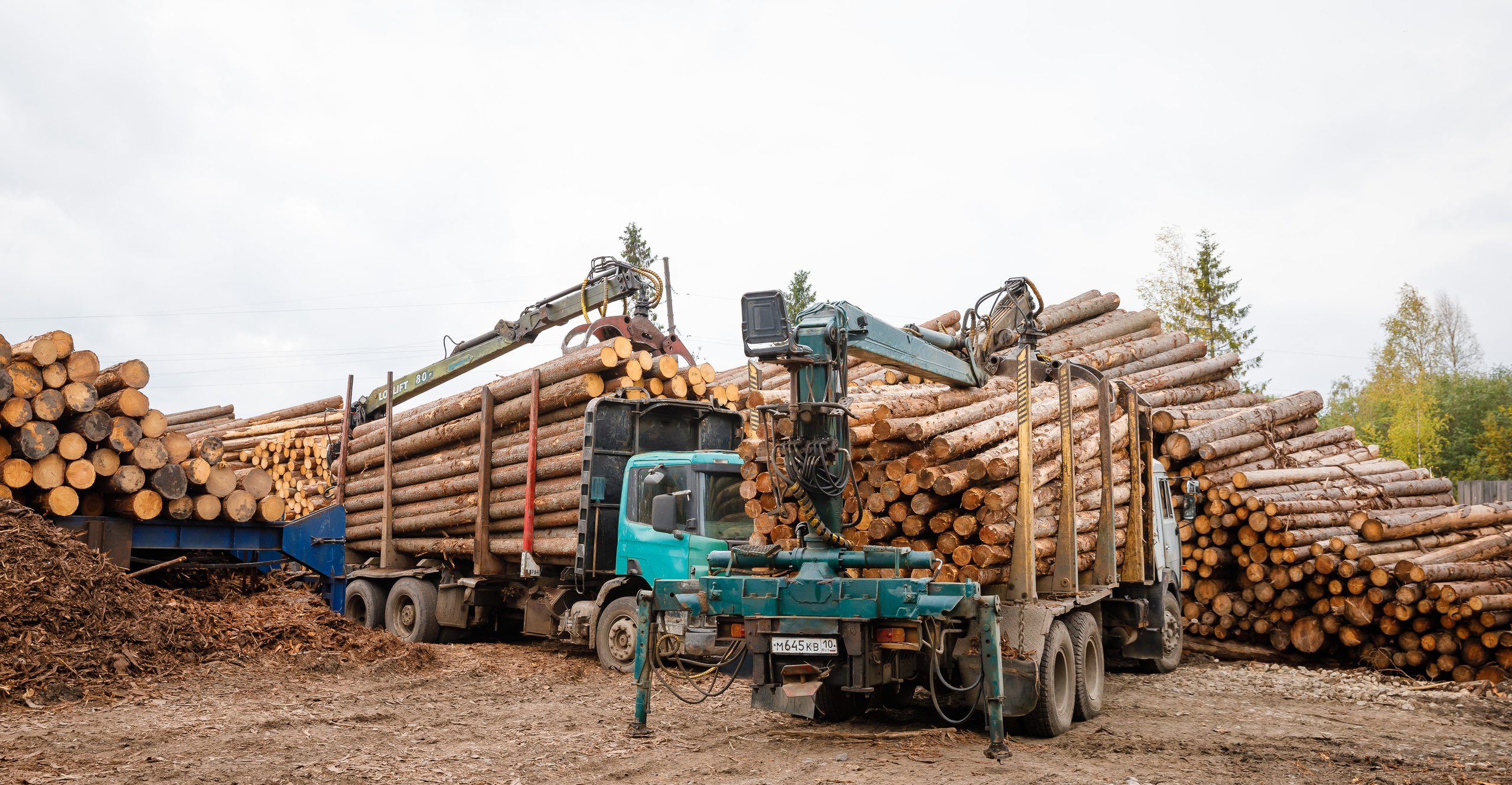 ПИЛОРАМА. Фотограф в Петрозаводске Игорь Герасименко