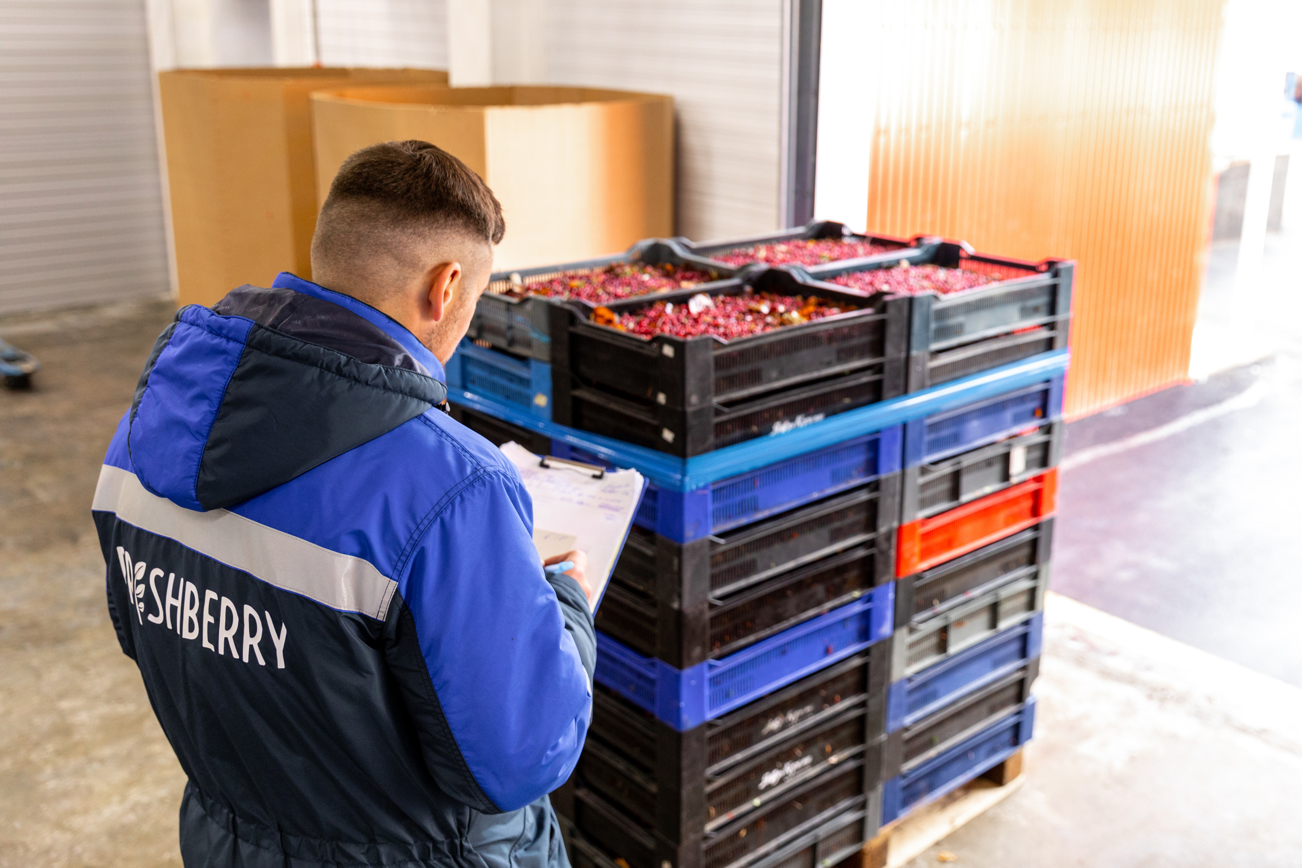 ЯГОДА. Фотограф в Петрозаводске Игорь Герасименко
