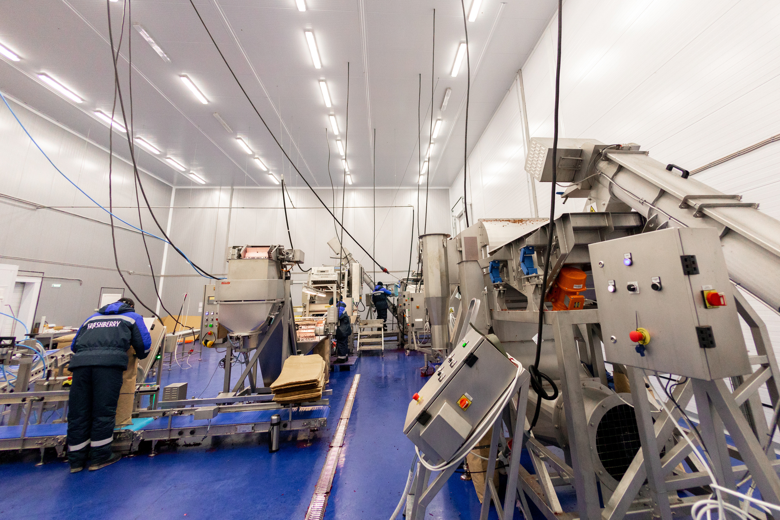 ЯГОДА. Фотограф в Петрозаводске Игорь Герасименко