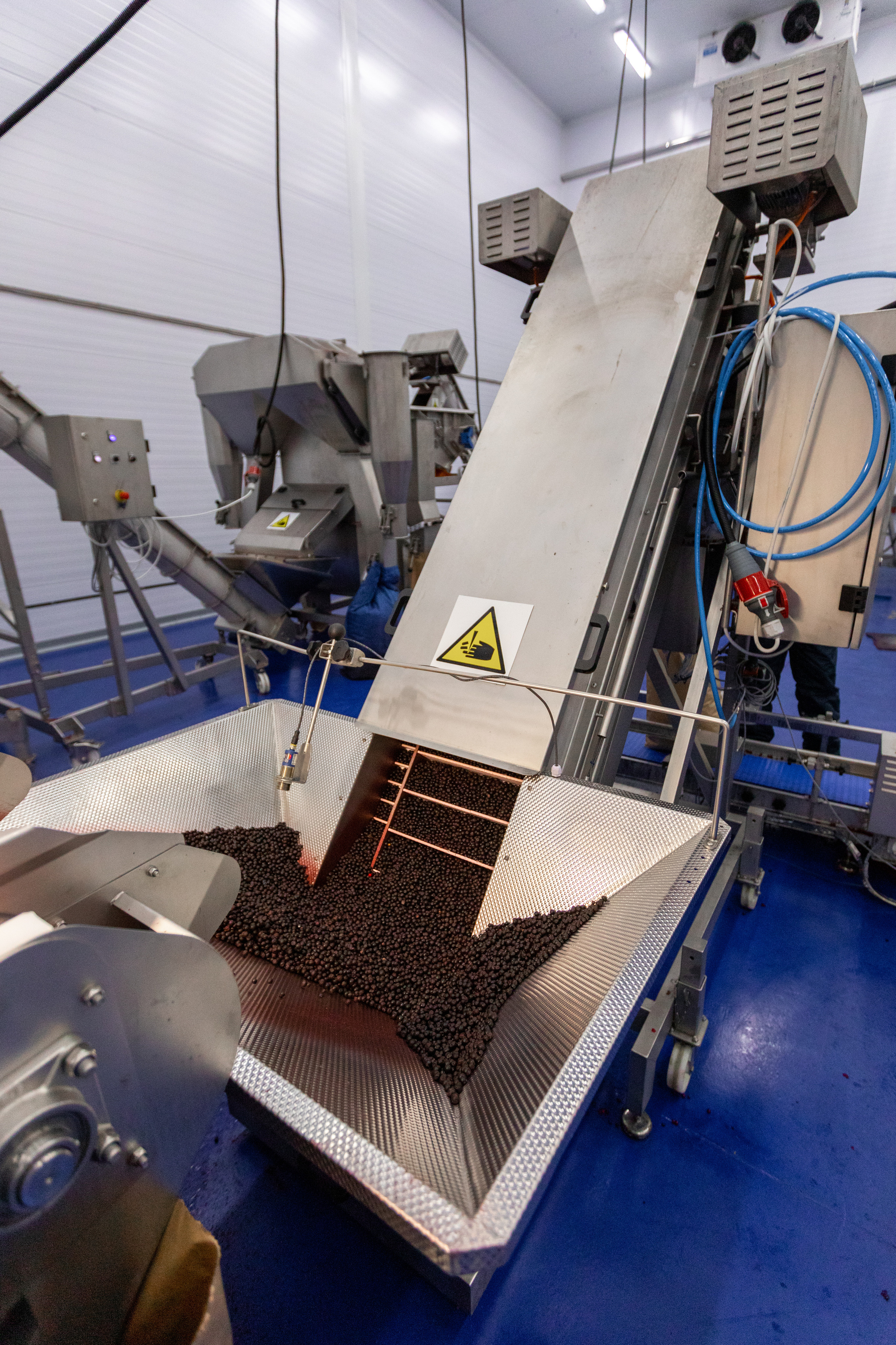 ЯГОДА. Фотограф в Петрозаводске Игорь Герасименко