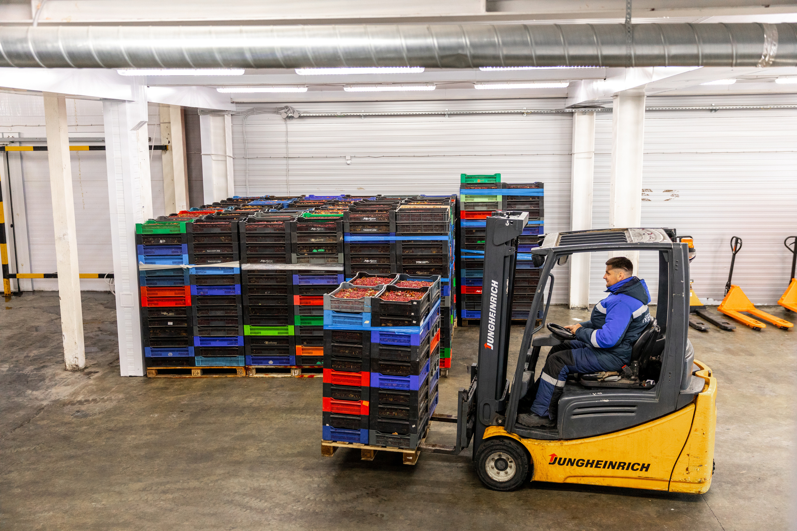 ЯГОДА. Фотограф в Петрозаводске Игорь Герасименко