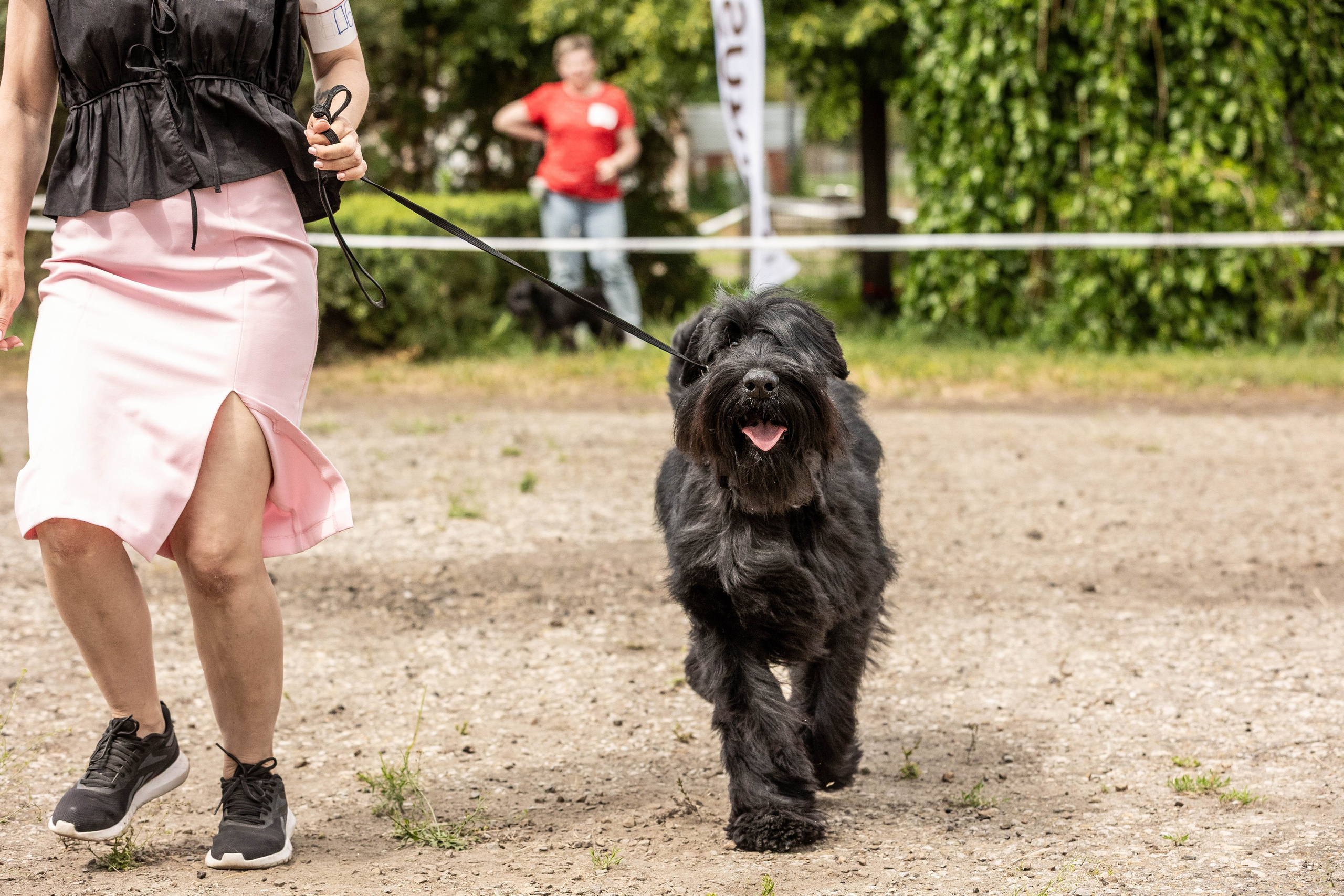 Репортаж (фото с выставок). Фотограф-АниМалист Анна Абрамова