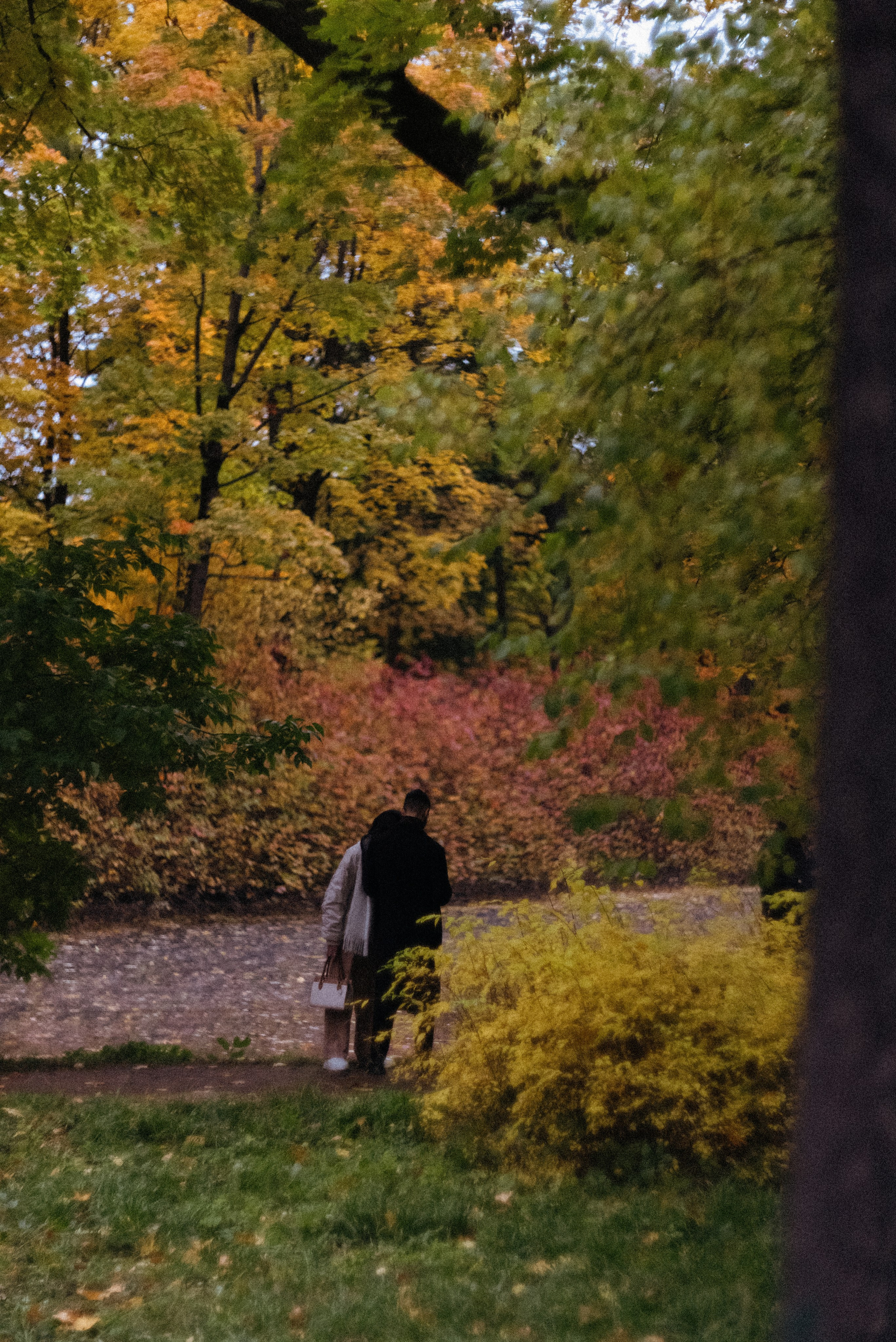 Autumn. Свадебный фотограф Санкт-Петербург DanyaPhotoart