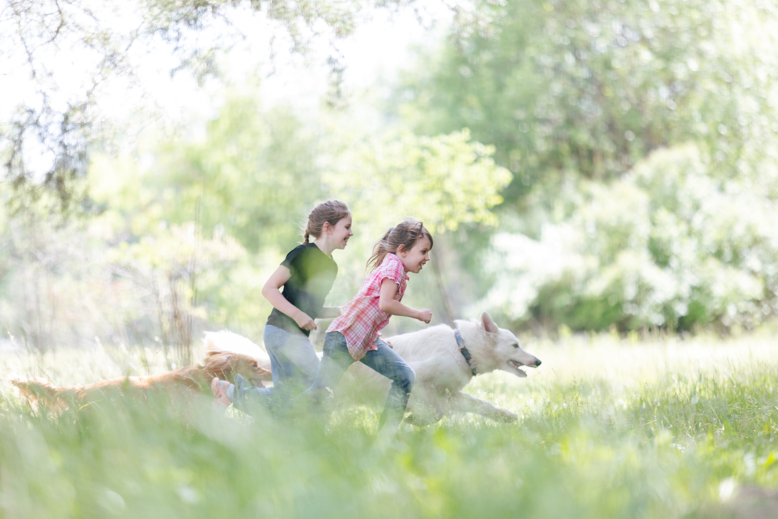 Фотограф Ирина Астор