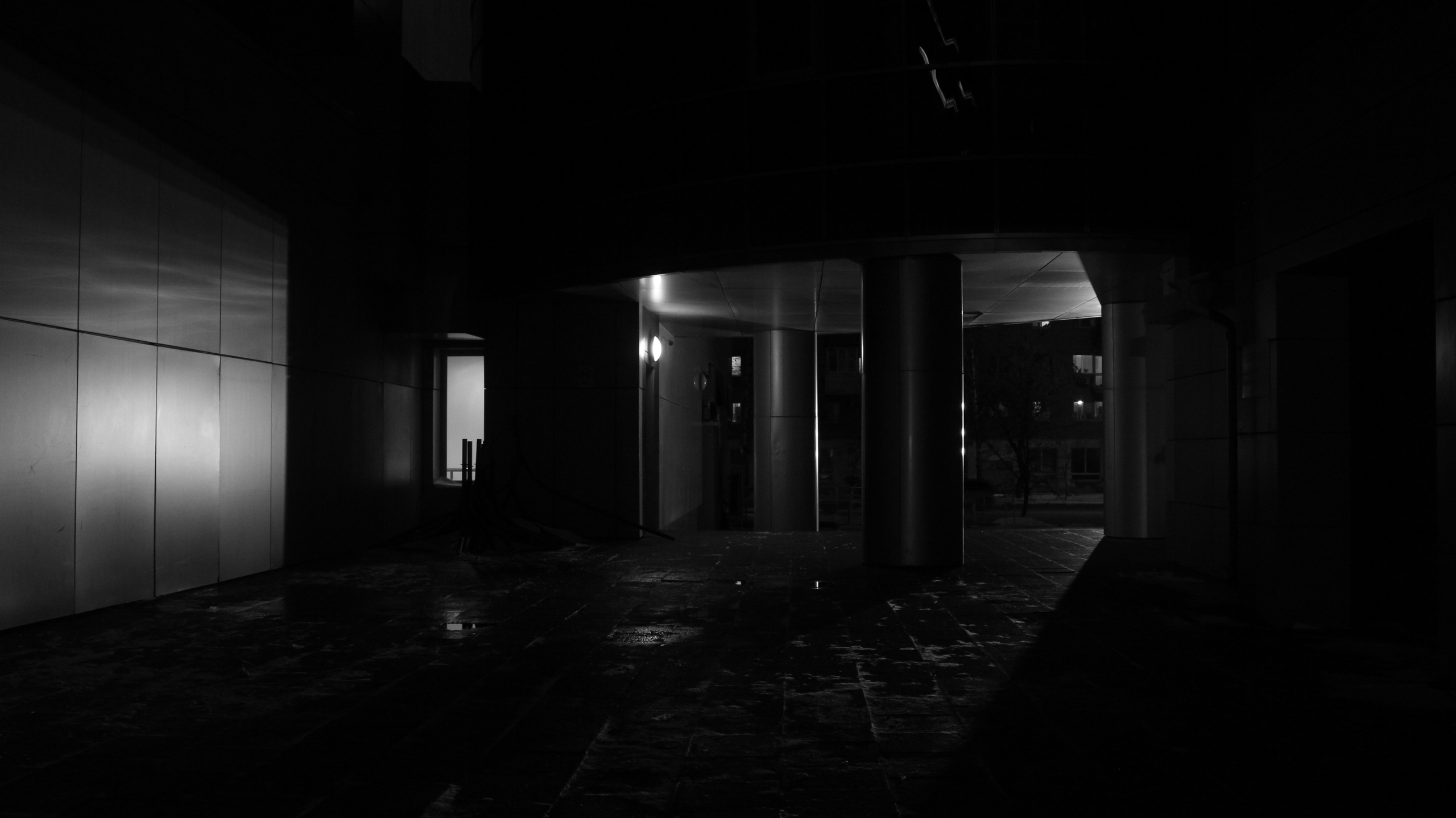 TMN winter '25 (wb). Фотограф/дизайнер в Екатеринбурге Хитрый Дмитрий