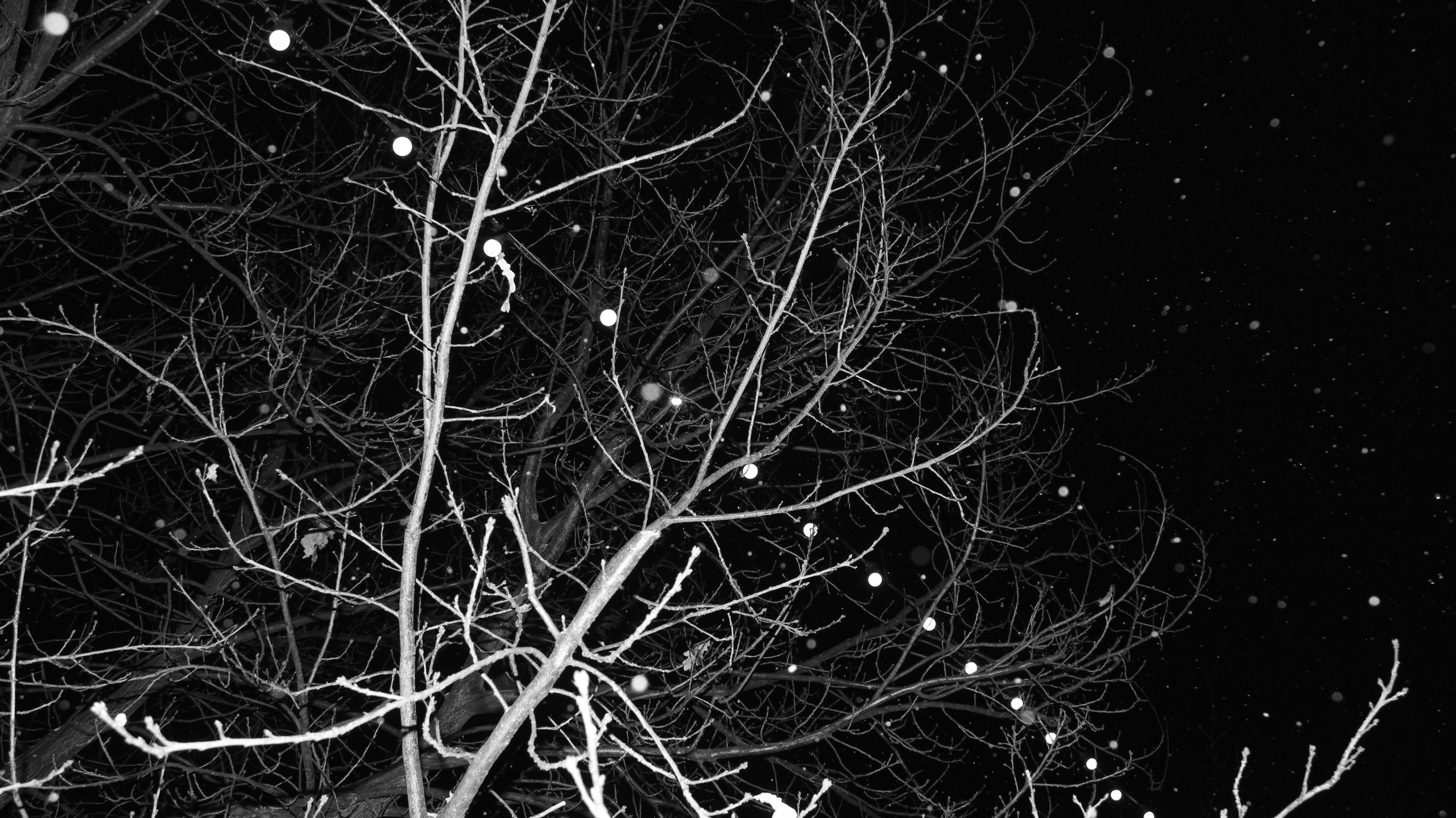 TMN winter '25 (wb). Фотограф/дизайнер в Екатеринбурге Хитрый Дмитрий