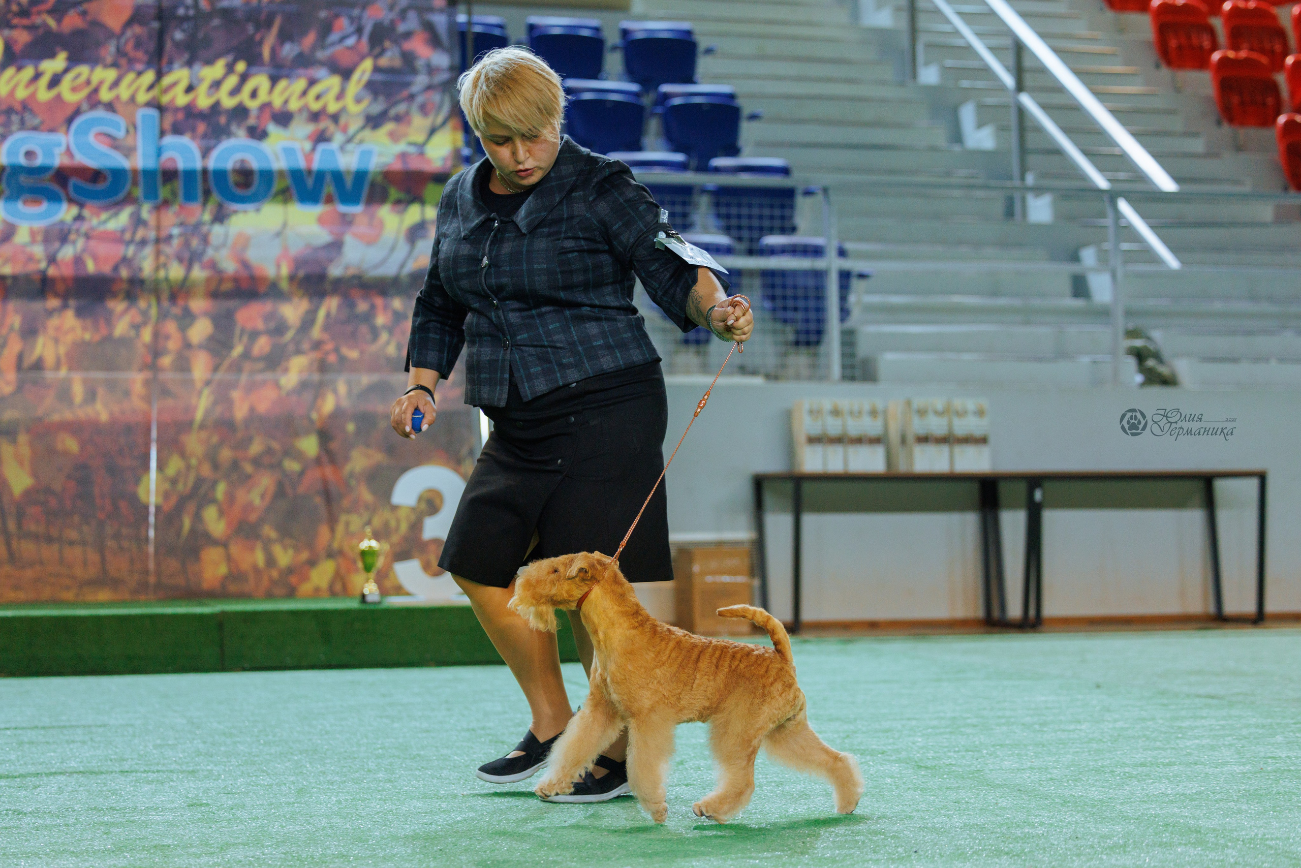 Грузия,Телави 2хCACIB 19-20.10.2024. Фотограф-анималист Юлия Германика