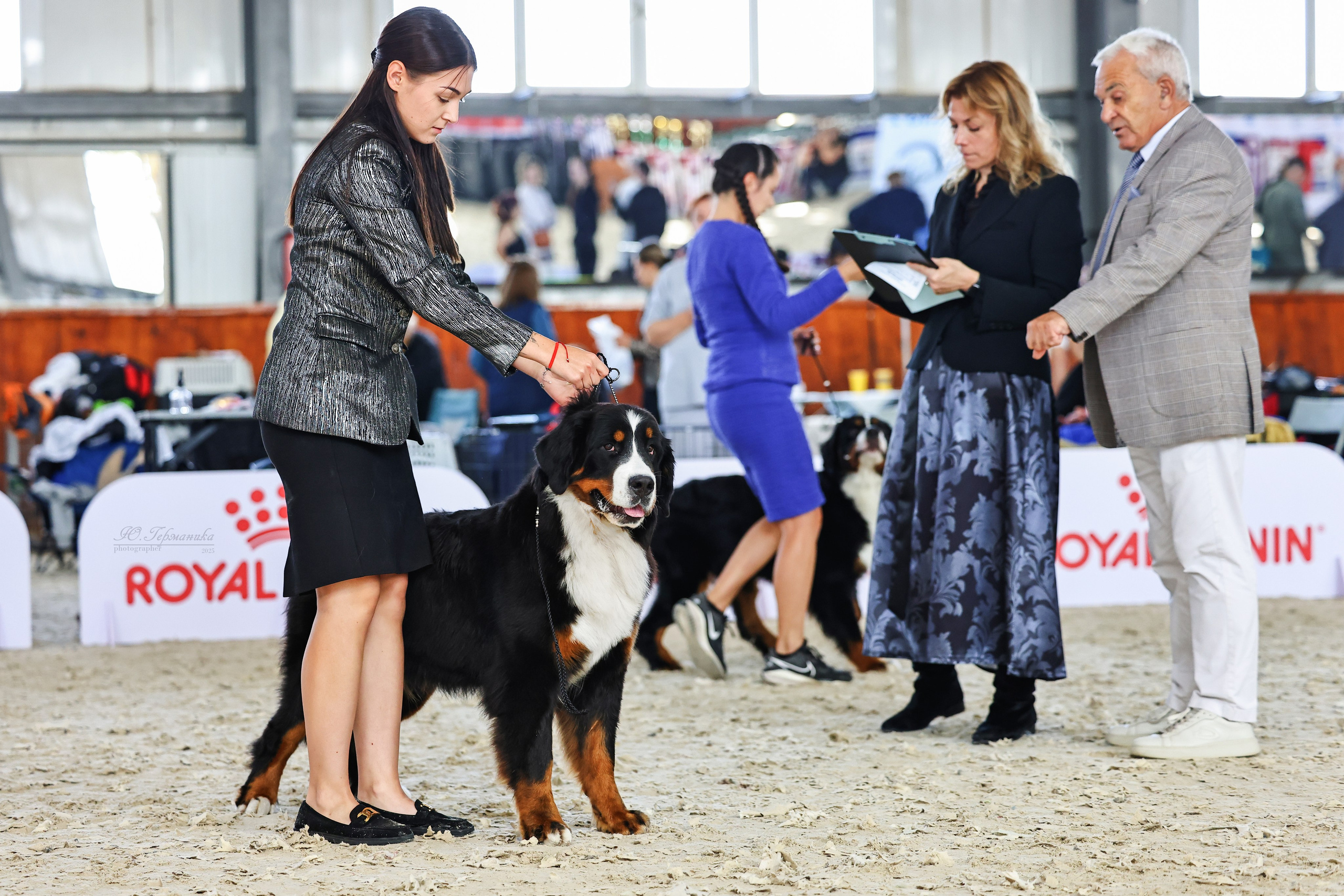 Астана 2хCACIB 26-28.09.2025. Фотограф-анималист Юлия Германика