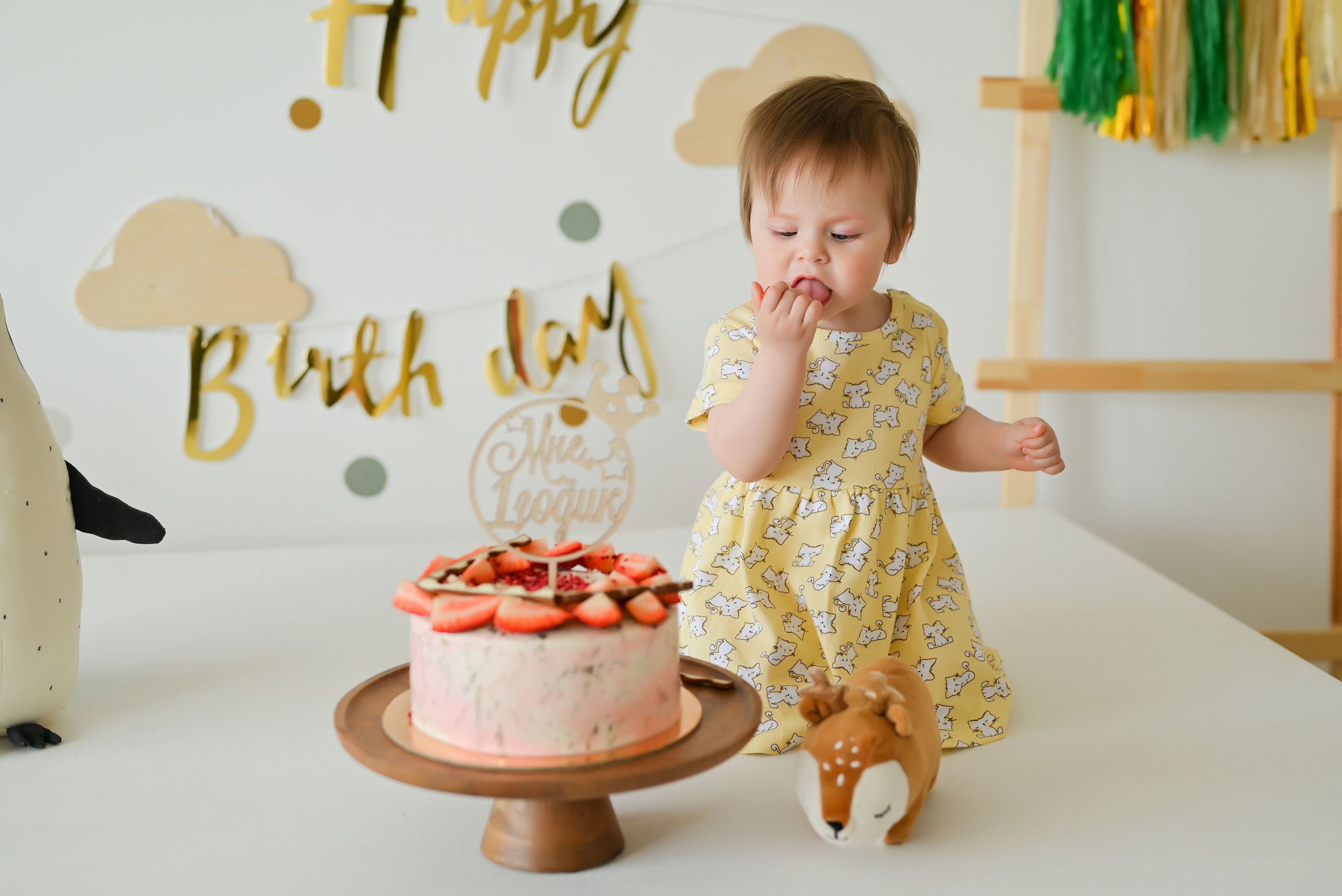 «Мне 1 годик». Свадебный и семейный фотограф в Уфе Александров Максим