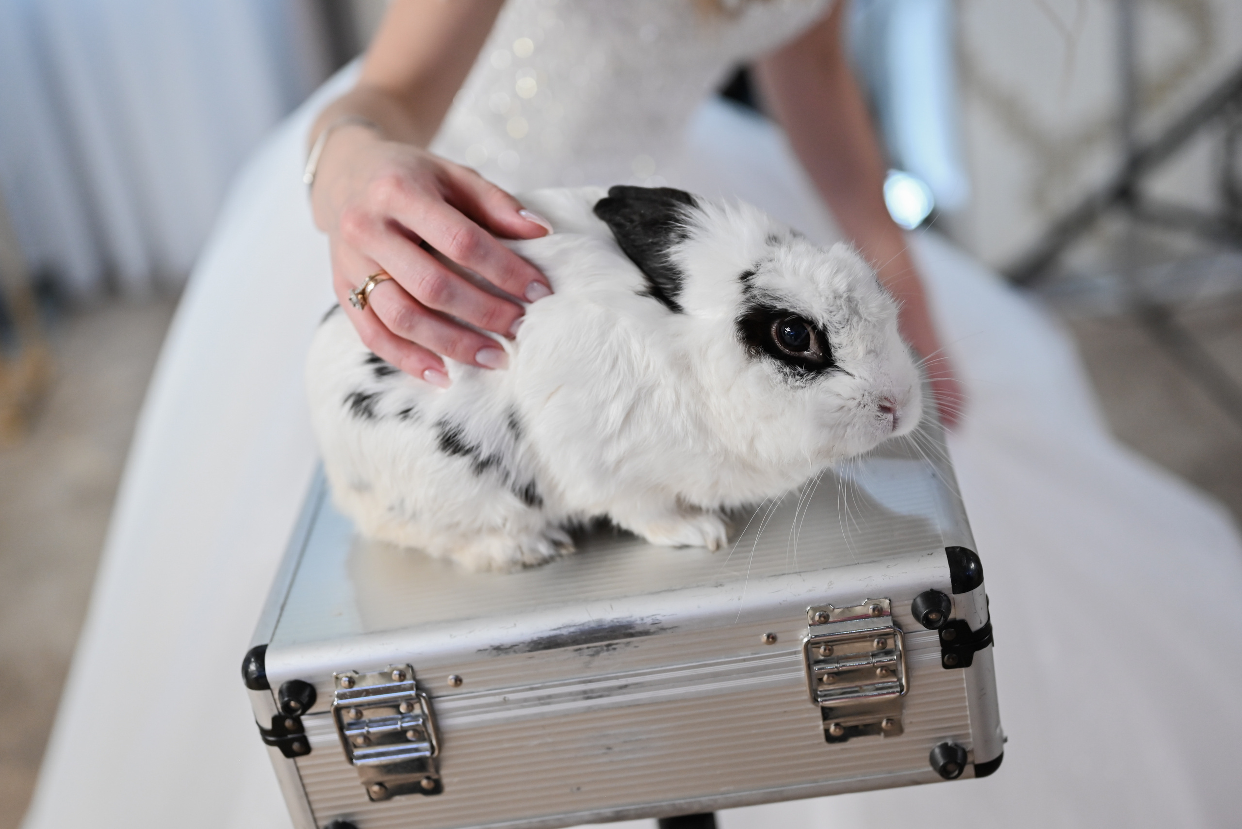 Павел & Анастасия. Свадебный и семейный фотограф в Уфе Александров Максим