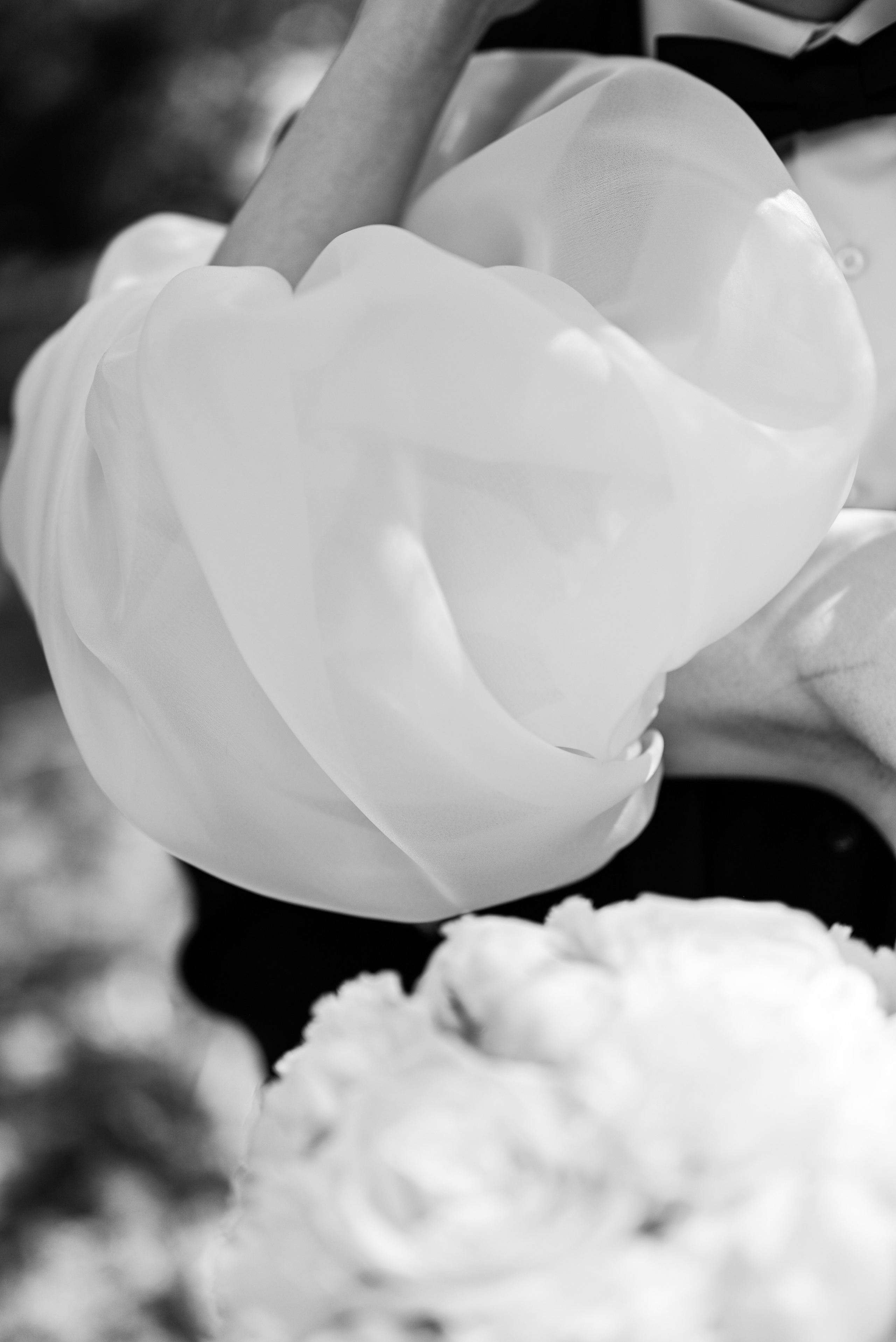 Никита & Катя. Свадебный и семейный фотограф в Уфе Александров Максим