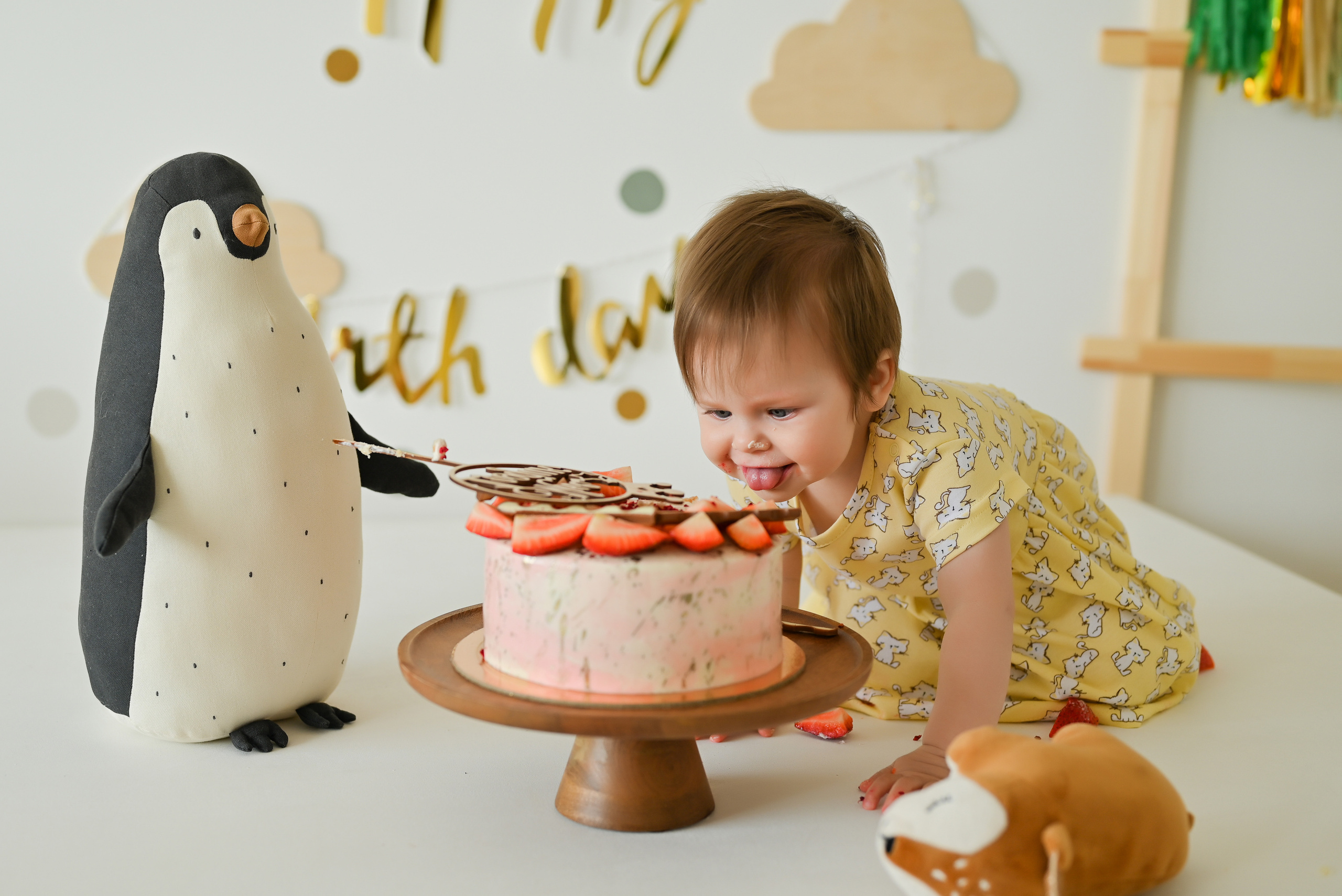 «Мне 1 годик». Свадебный и семейный фотограф в Уфе Александров Максим