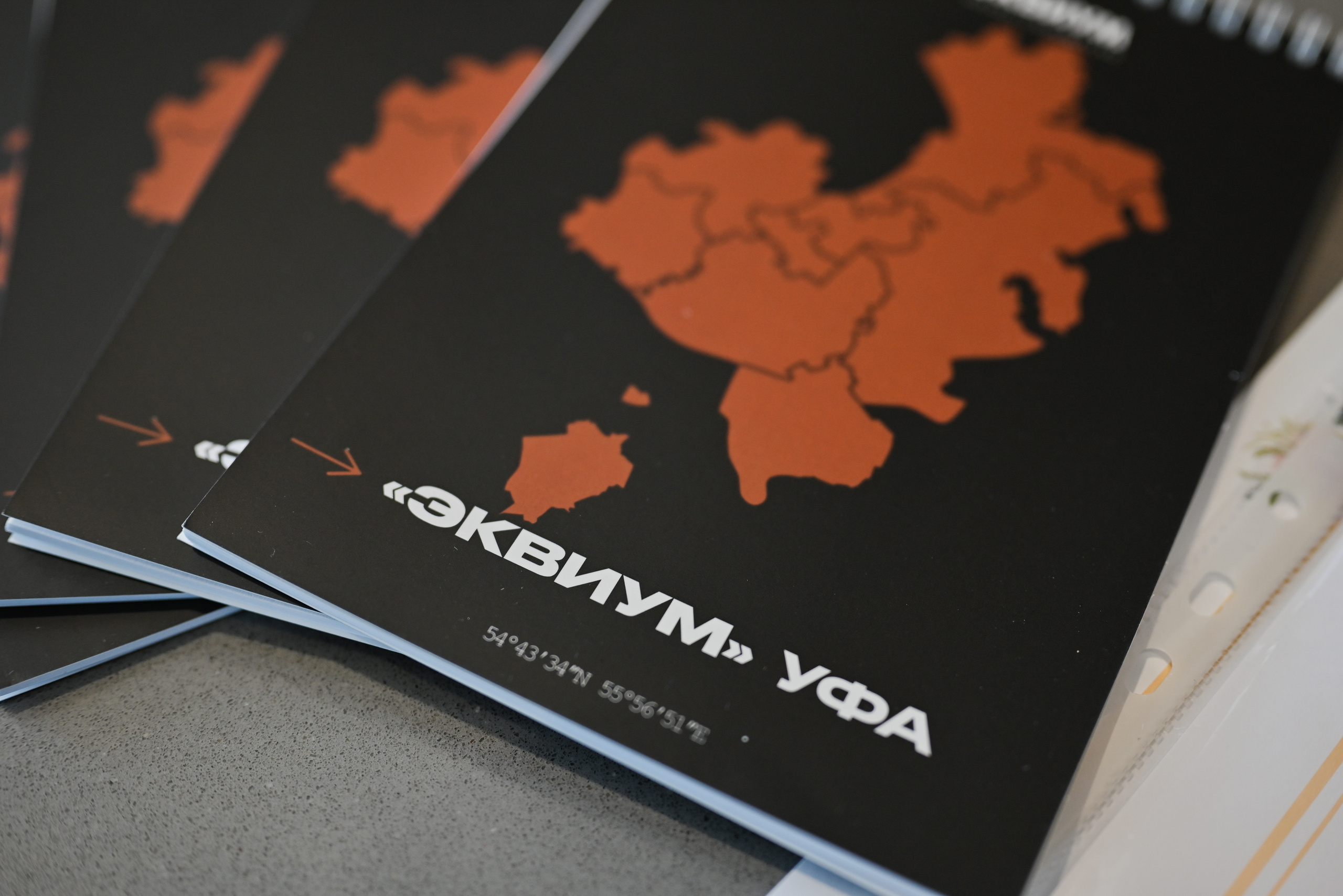 Бизнес-встреча ЭКВИУМ. Свадебный и семейный фотограф в Уфе Александров Максим