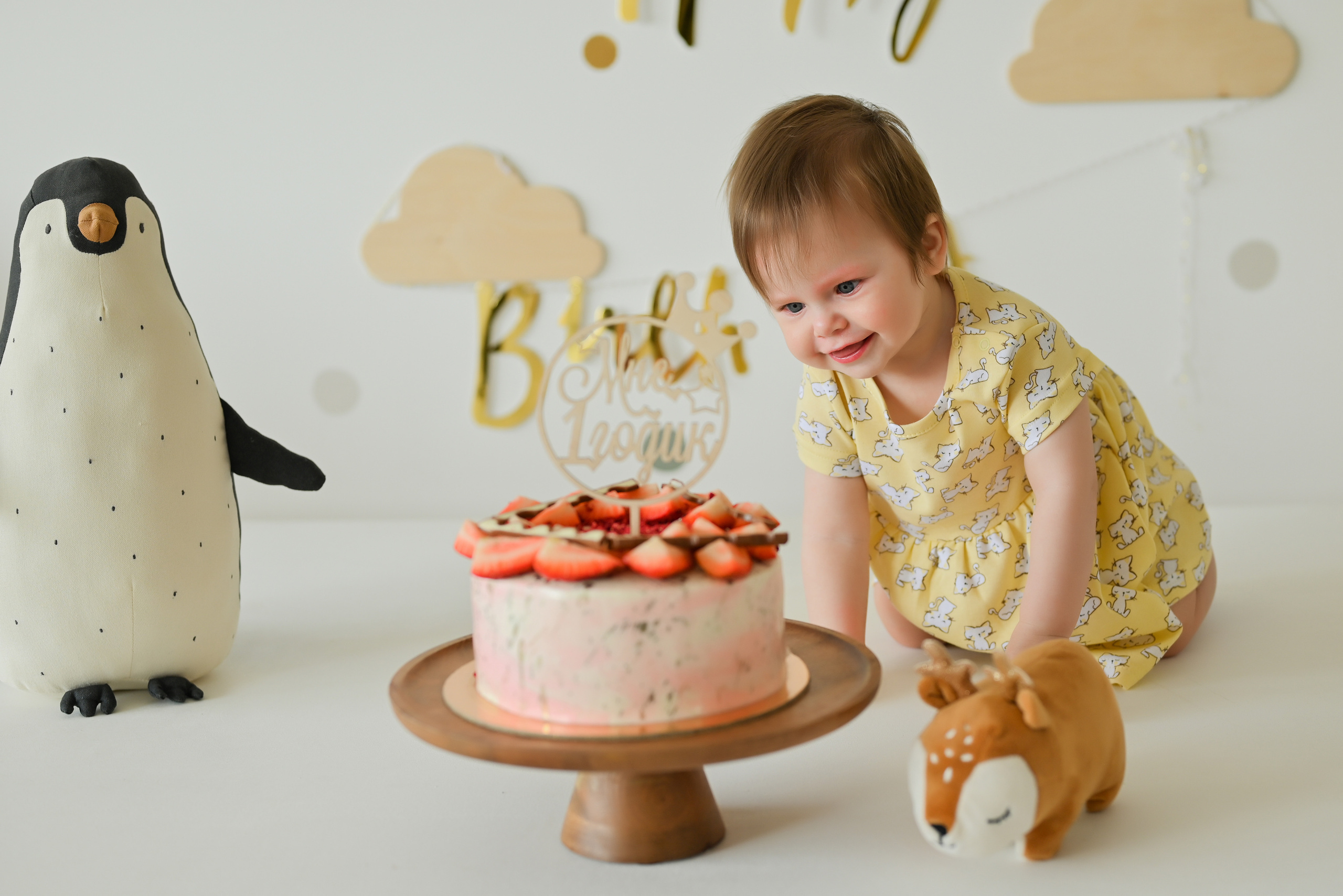 «Мне 1 годик». Свадебный и семейный фотограф в Уфе Александров Максим