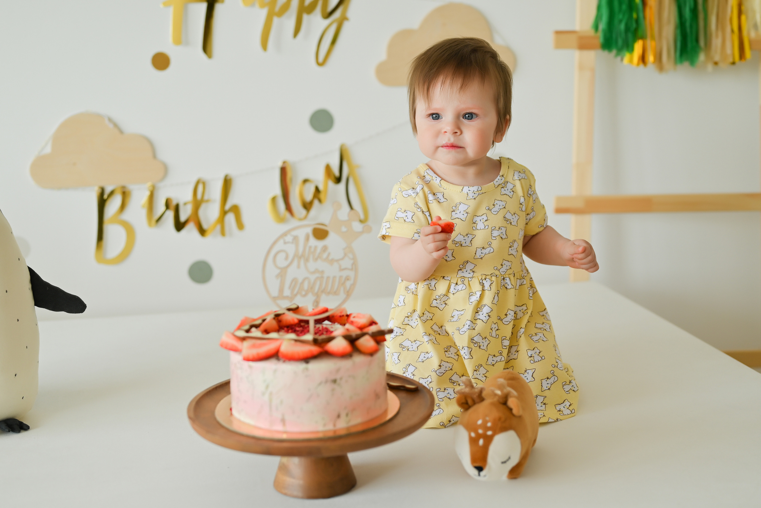 «Мне 1 годик». Свадебный и семейный фотограф в Уфе Александров Максим