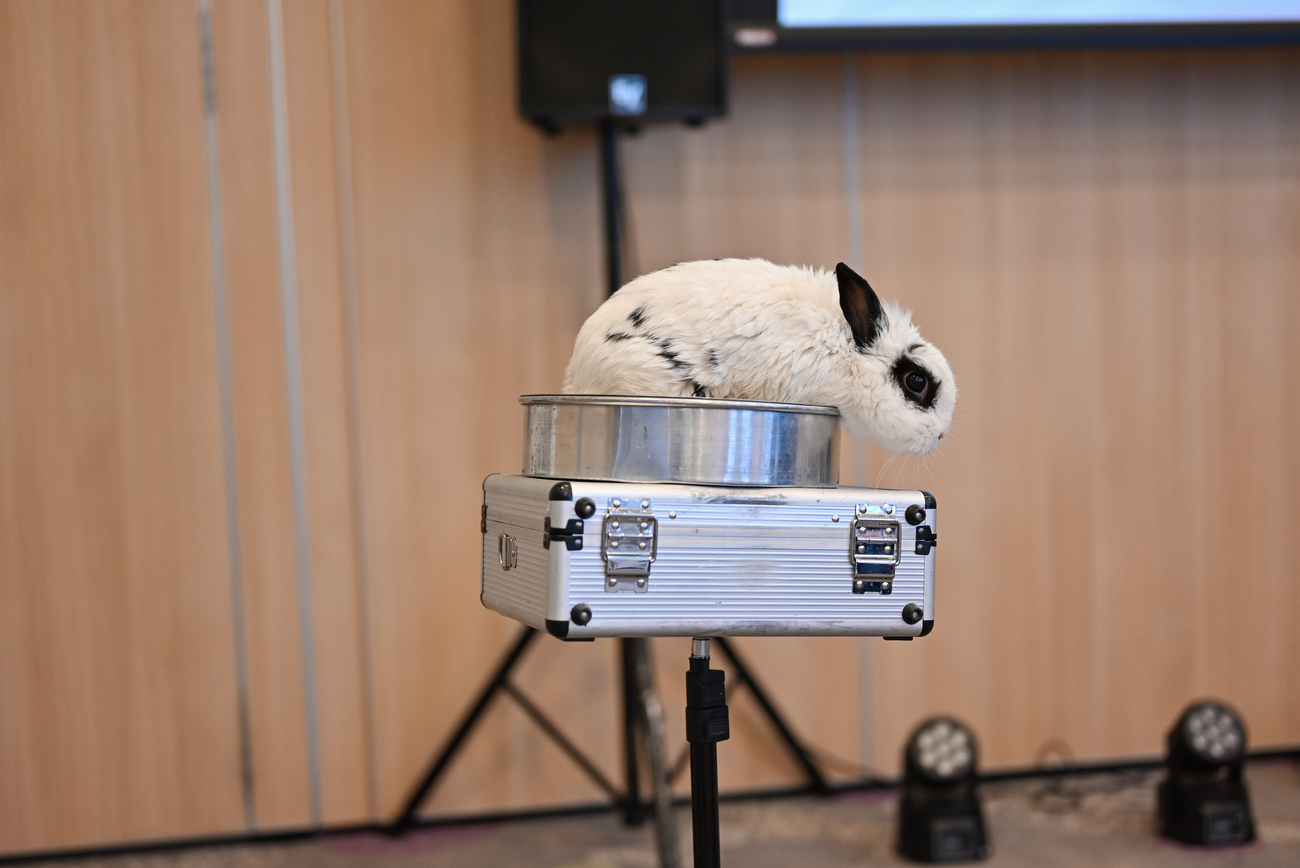 День Рождения Марины. Свадебный и семейный фотограф в Уфе Александров Максим