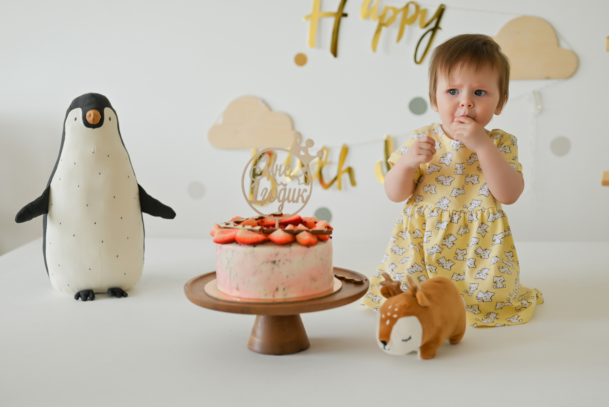 «Мне 1 годик». Свадебный и семейный фотограф в Уфе Александров Максим