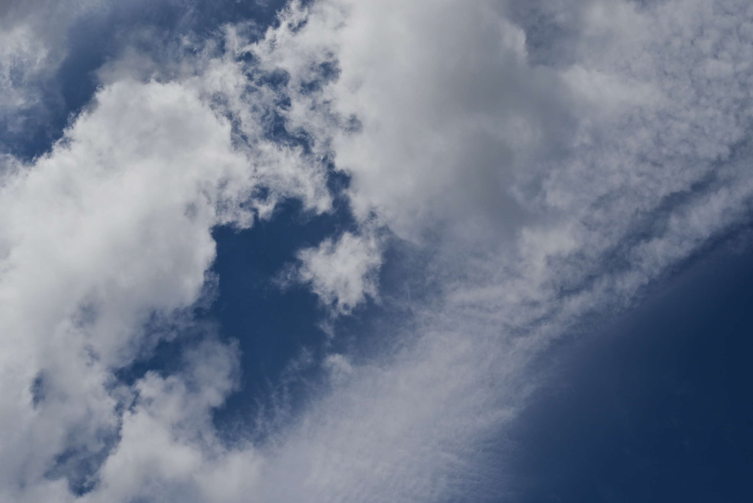 Никита & Катя. Свадебный и семейный фотограф в Уфе Александров Максим