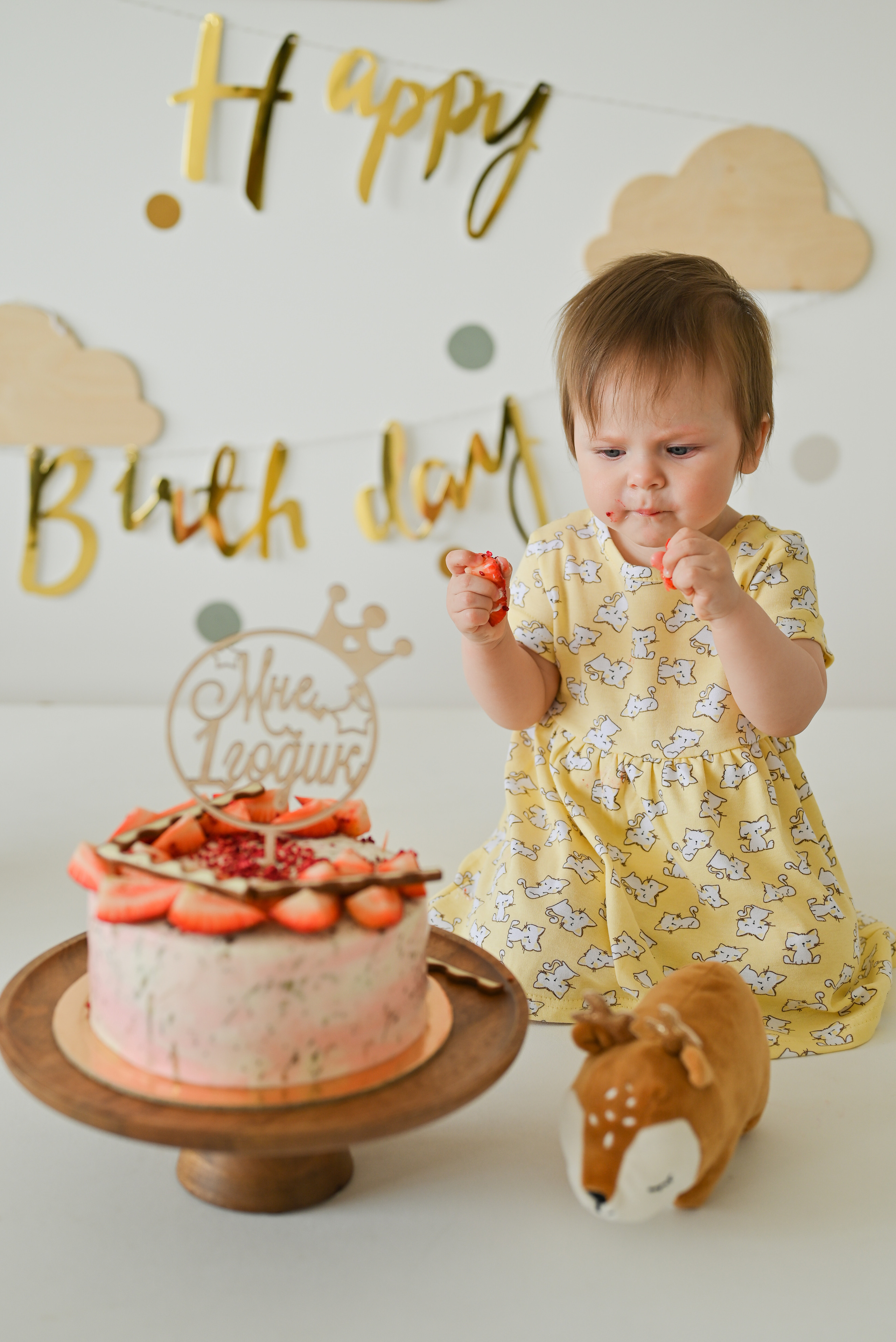 «Мне 1 годик». Свадебный и семейный фотограф в Уфе Александров Максим